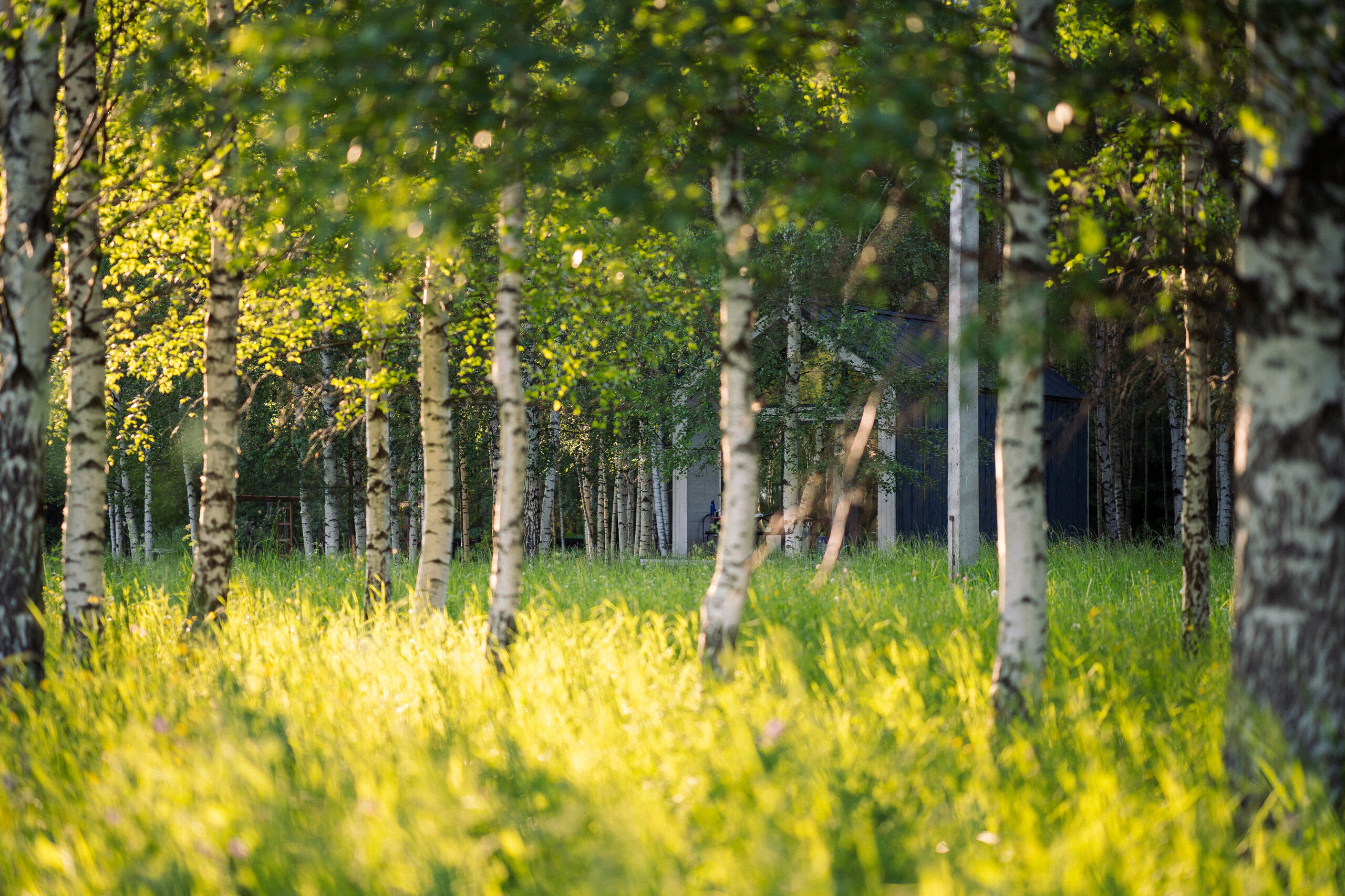 Фото Заповедник впечатлений