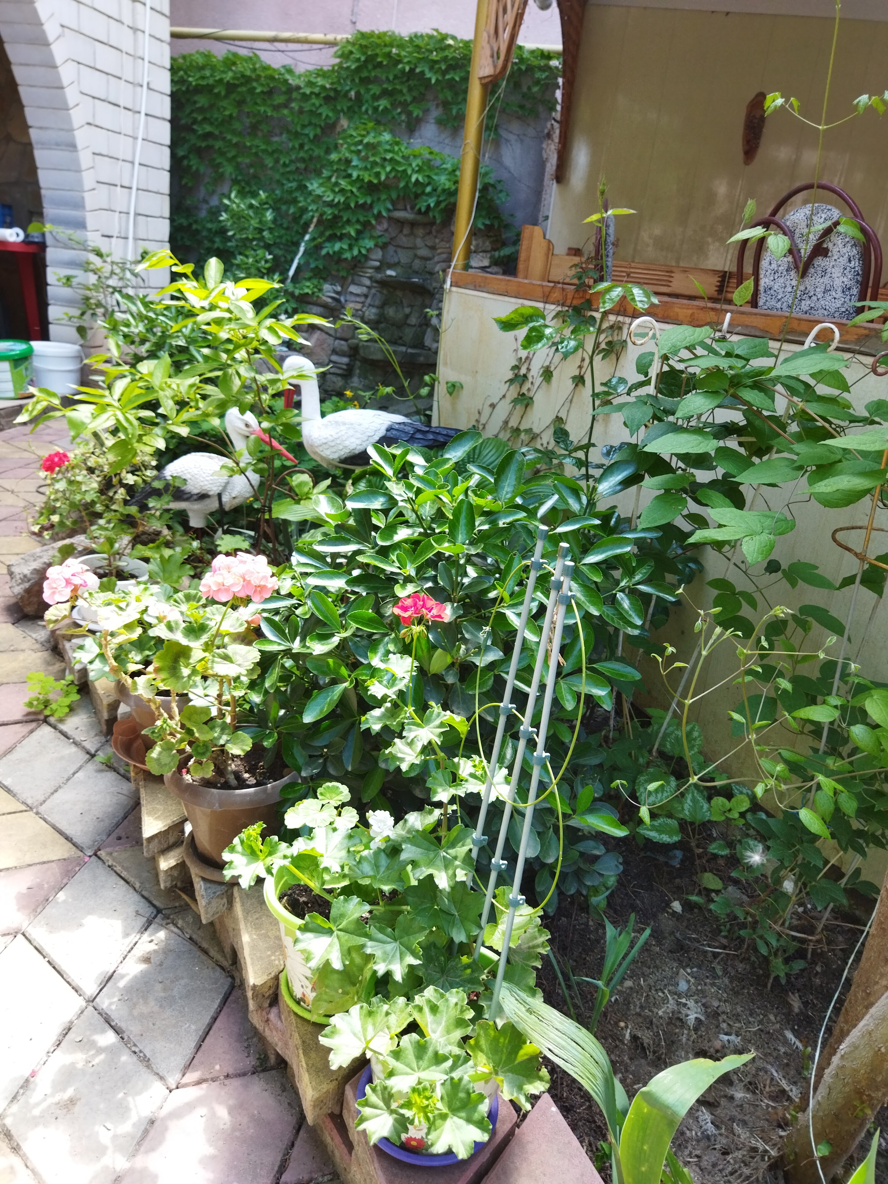 Фото Идиллия