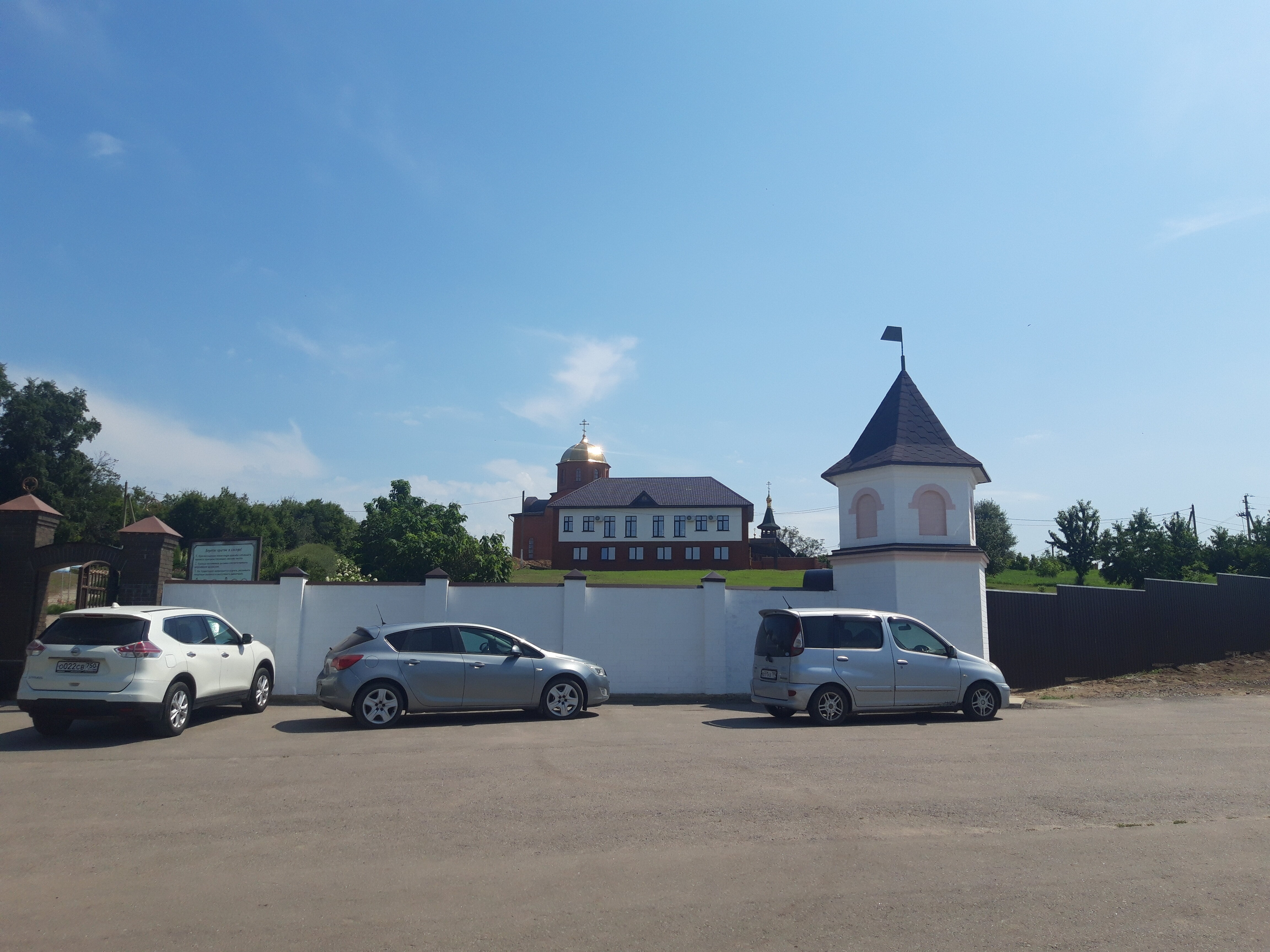 Фото Тихие Дивы