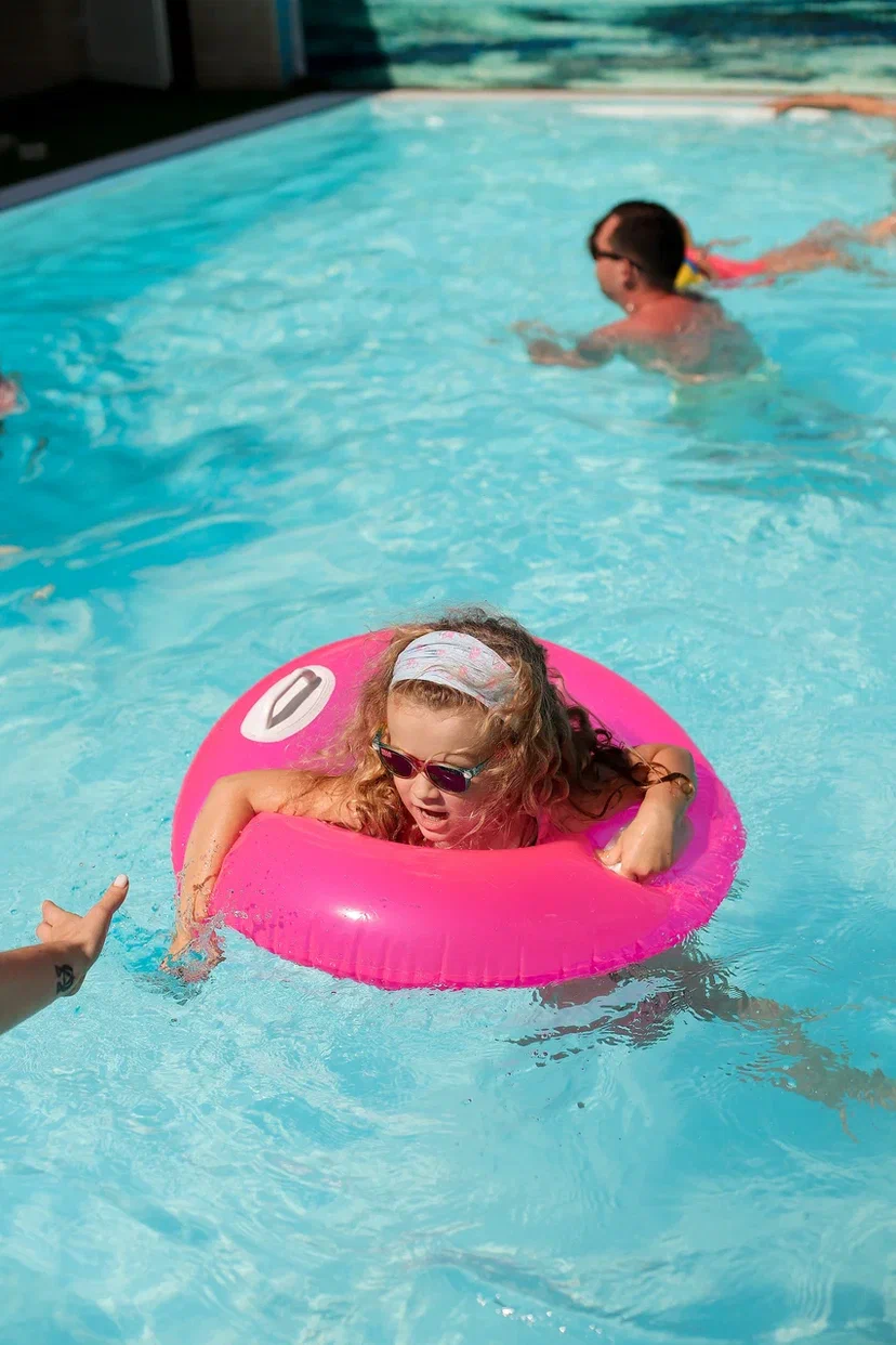 Фото Альбатрос