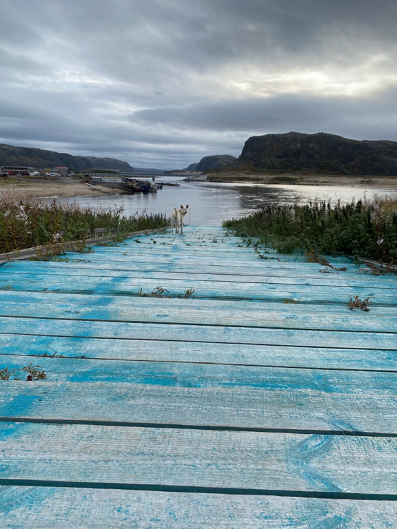 Фото Баренц