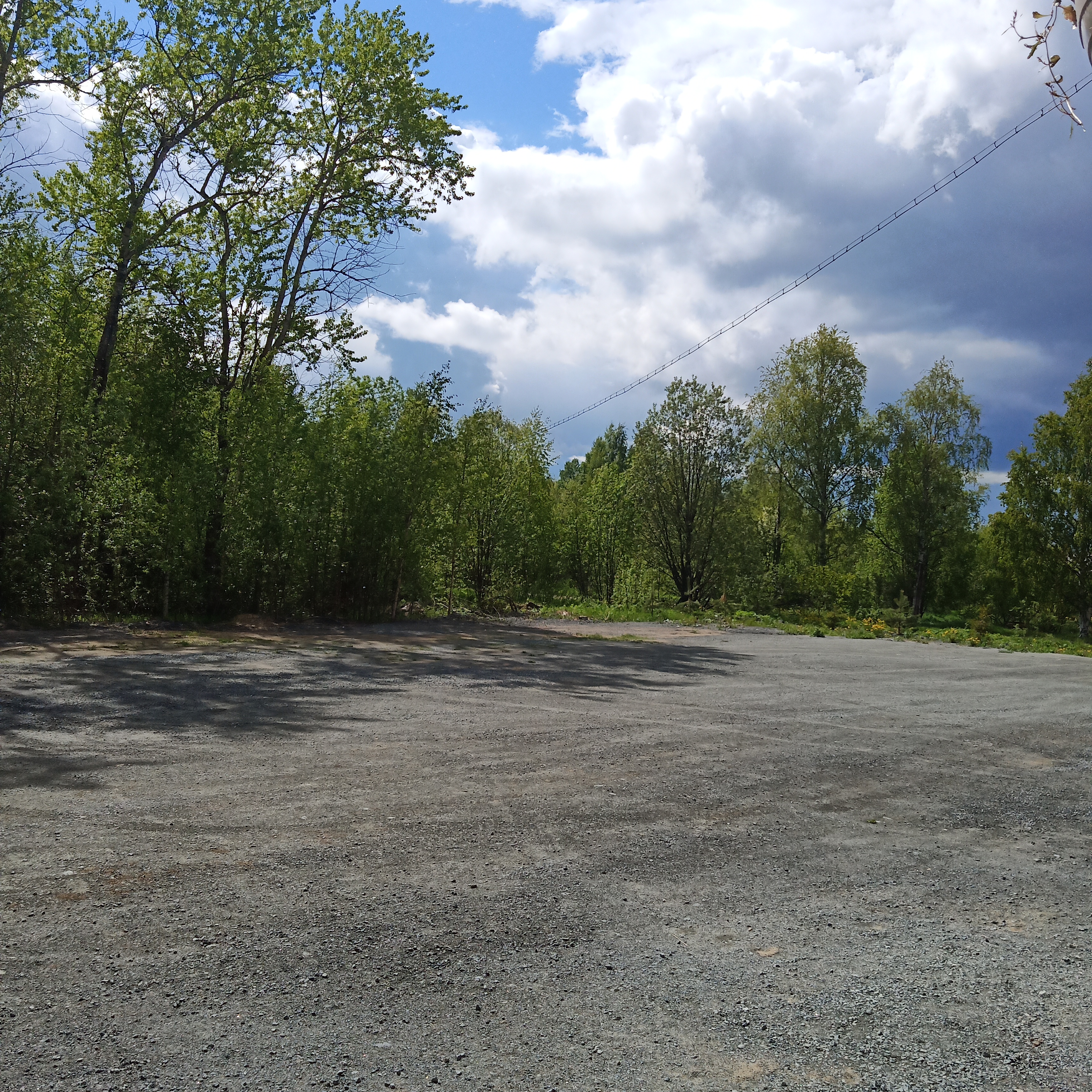 Фото Моррис