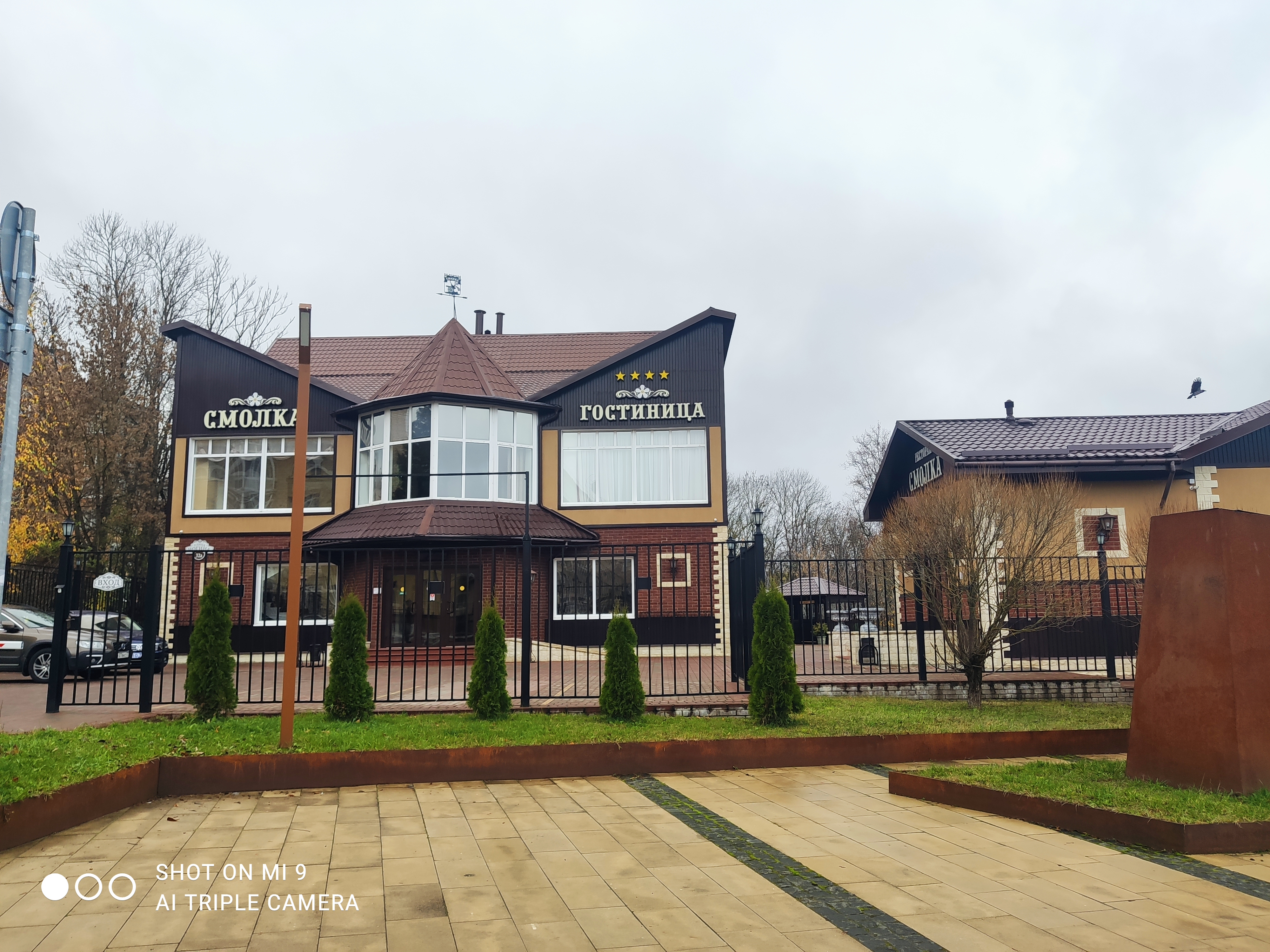 Фото Смолка