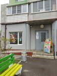 Starlight (ulitsa Zhirokhova, 2), children's developmental center