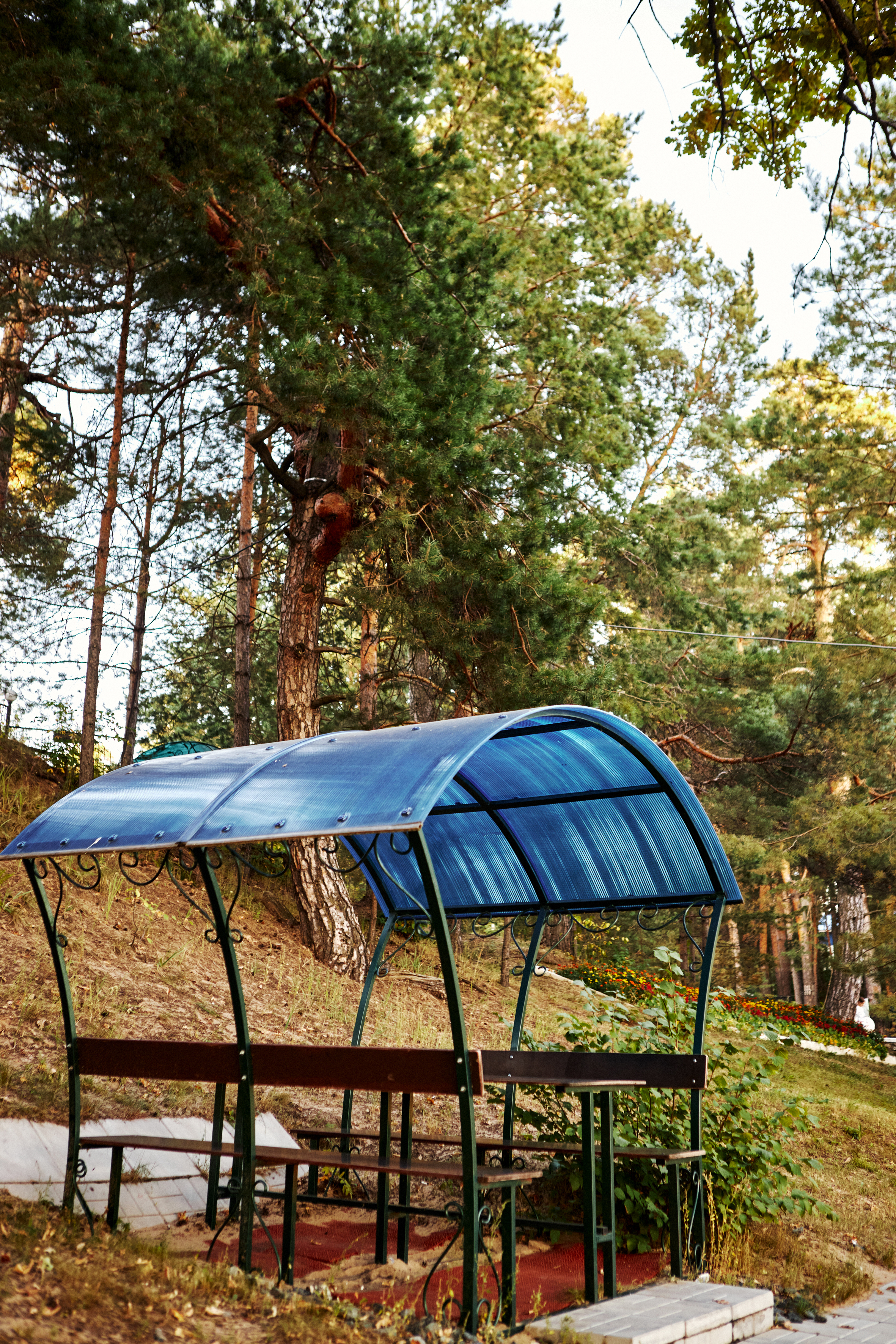 Фото Росинка