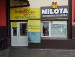 AutoFrance Lider (Akademika Vavilova Street, 1с10), auto parts and auto goods store