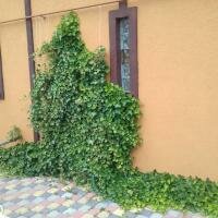 Гостевой дом Вилла Тобиас в Калининграде