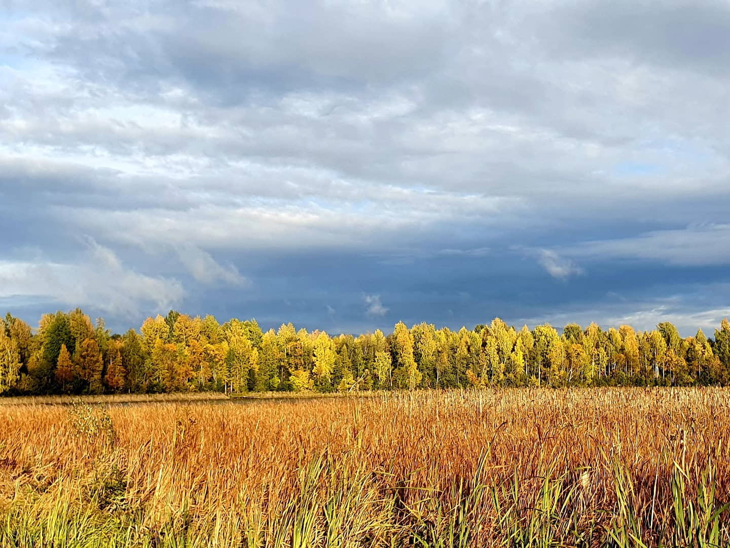 Фото Villa Natella