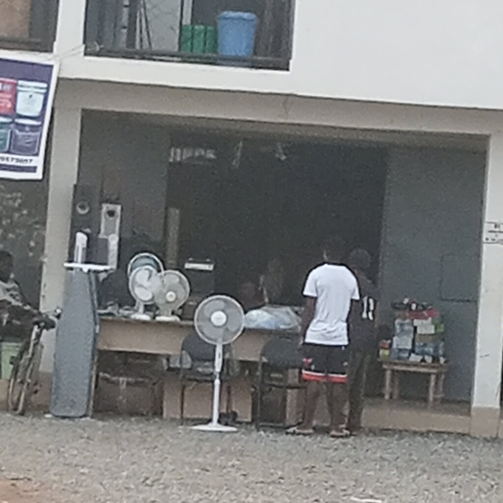 Business consulting Blooming Trading, Earth, photo