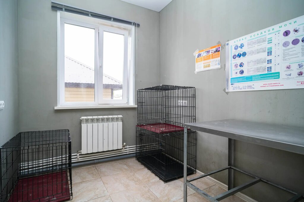 Панорама: Биосфера, ветеринарная клиника, Московская ул., 4, Киров - Яндекс Карт