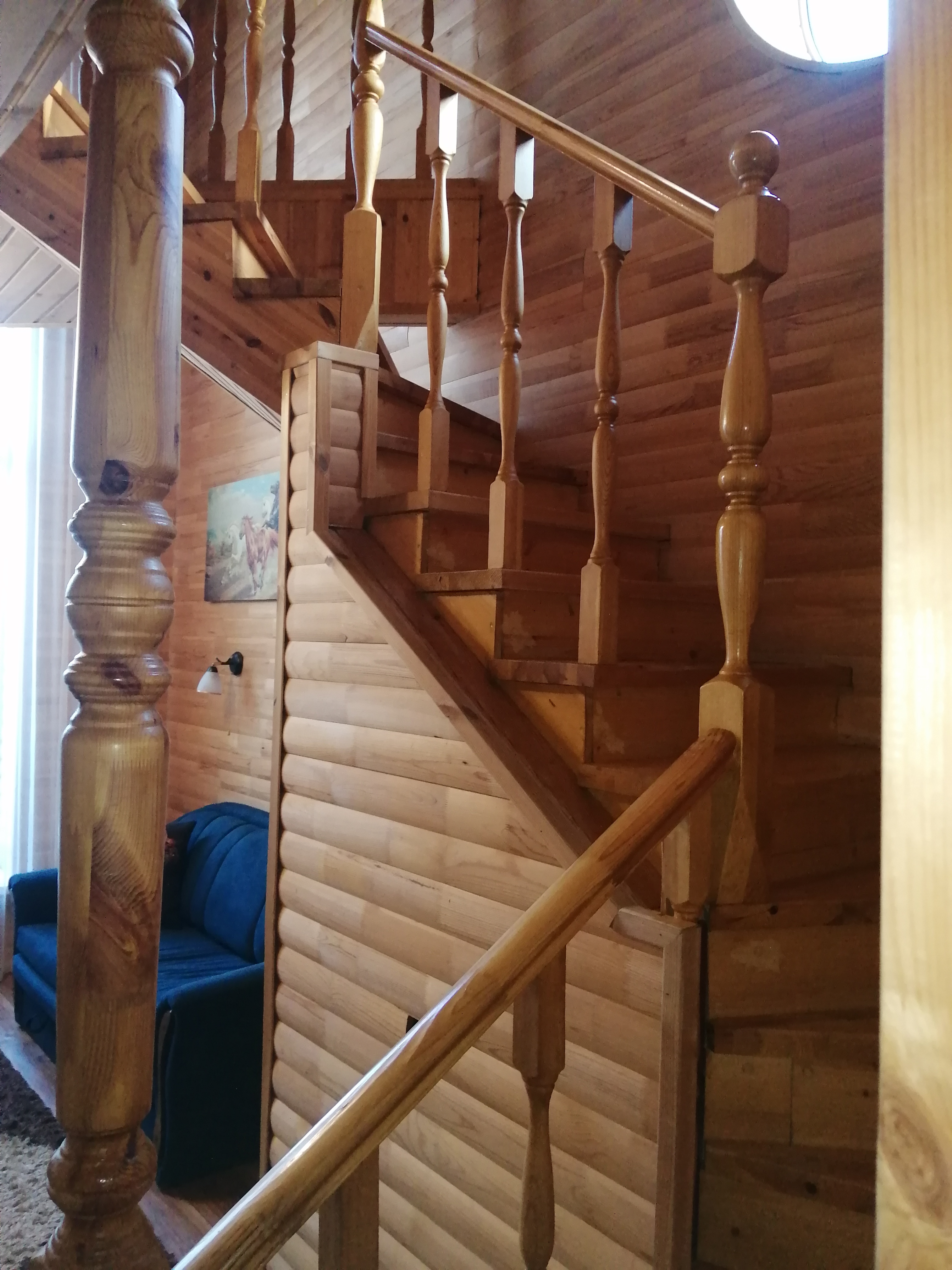 Фото Дарина