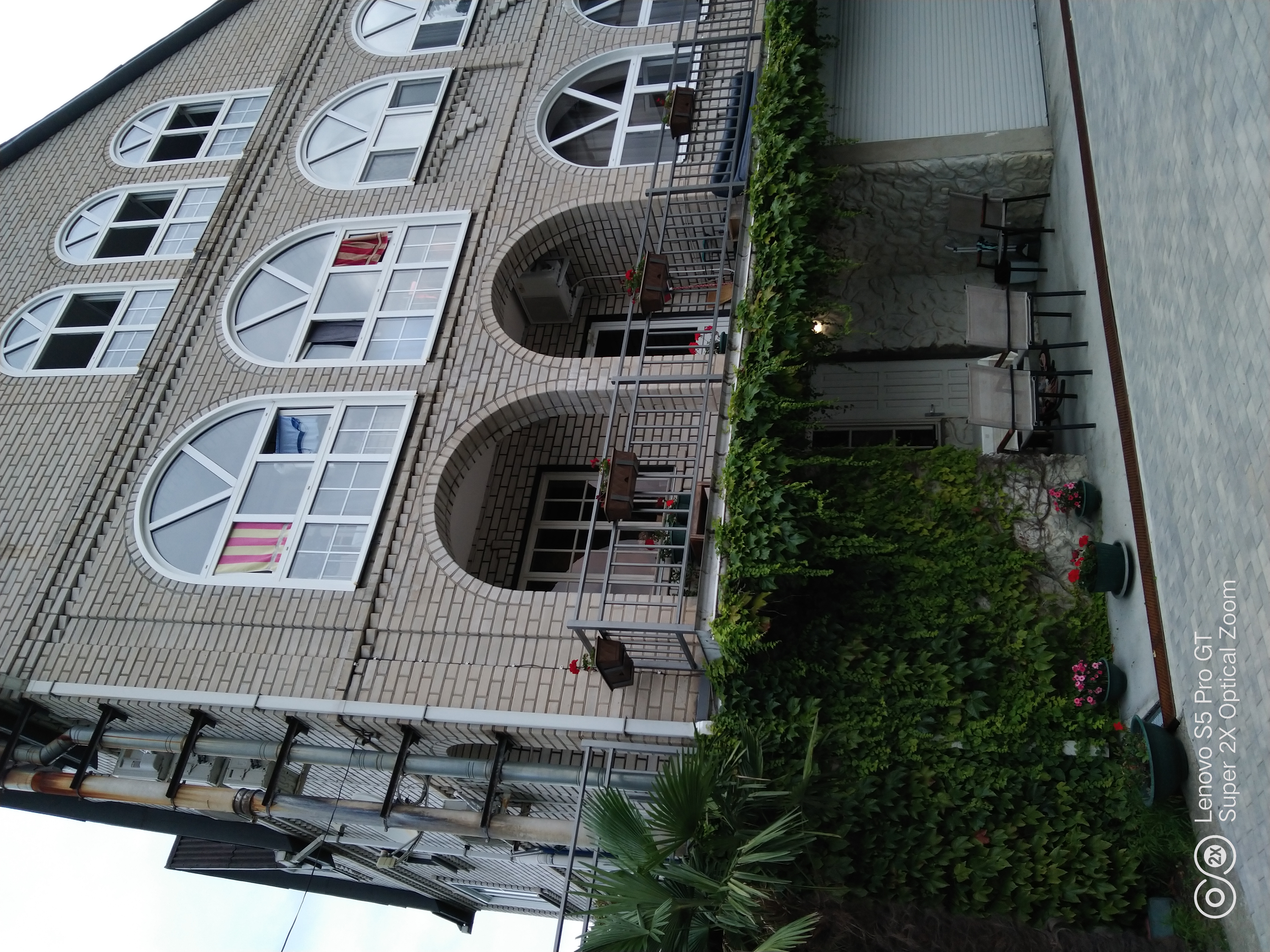 Фото Зеленый рай