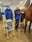 Veterinarny tsentr Otrada (Village of Otradnoye, Klubnaya ulitsa, 3к2), veterinary clinic