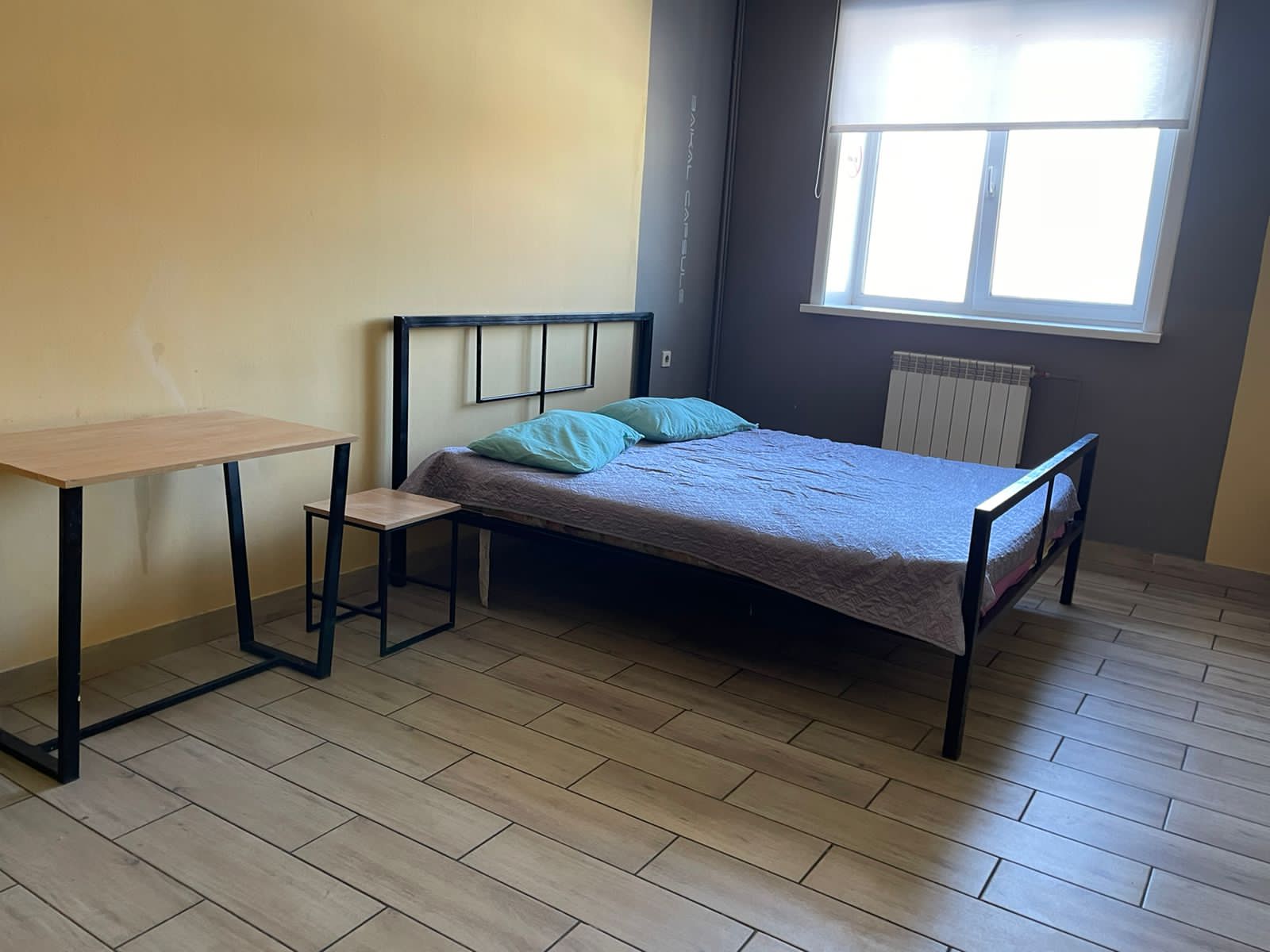 Фото Baikal capsule