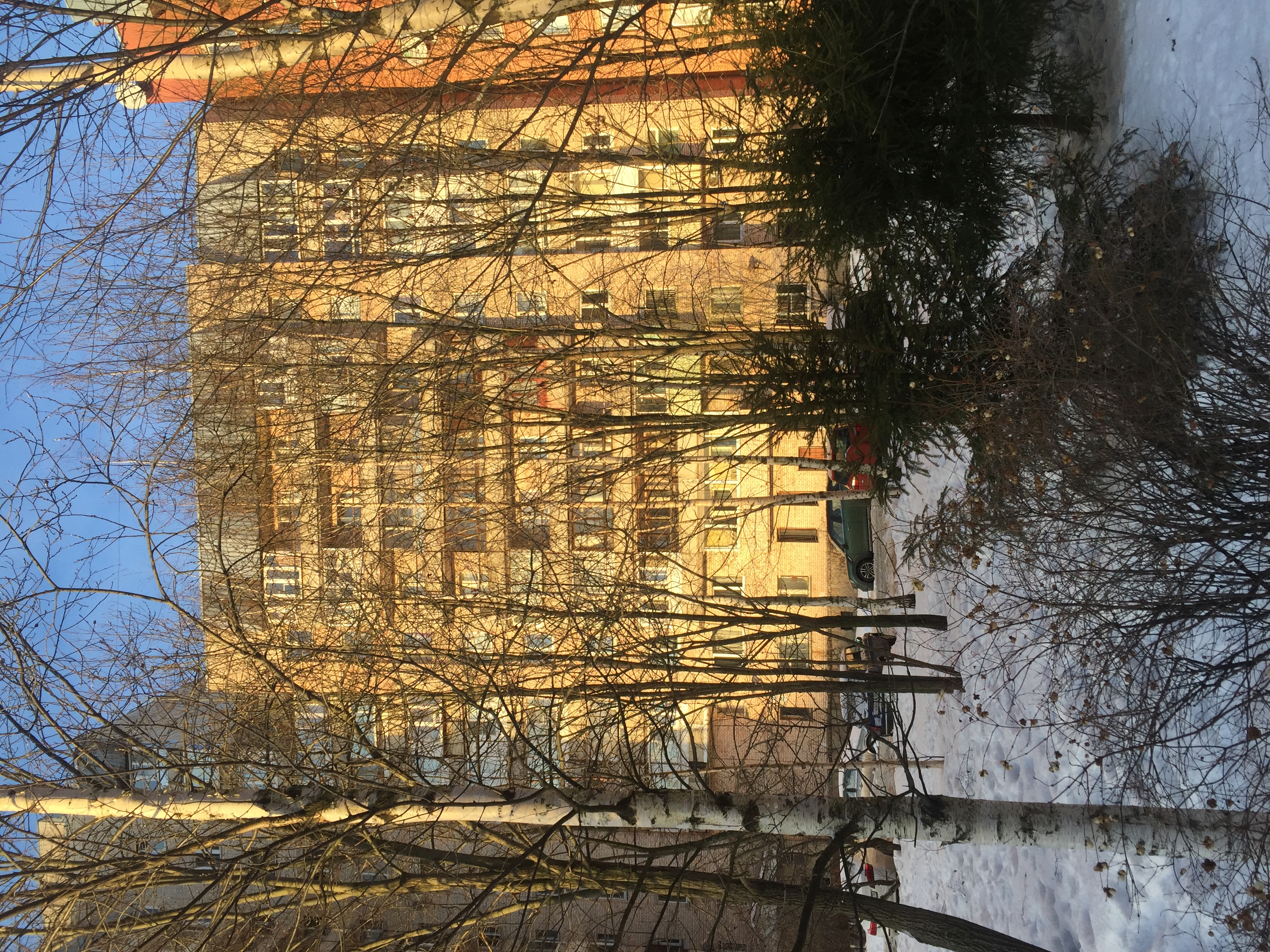 Фото Квартира в Озерках