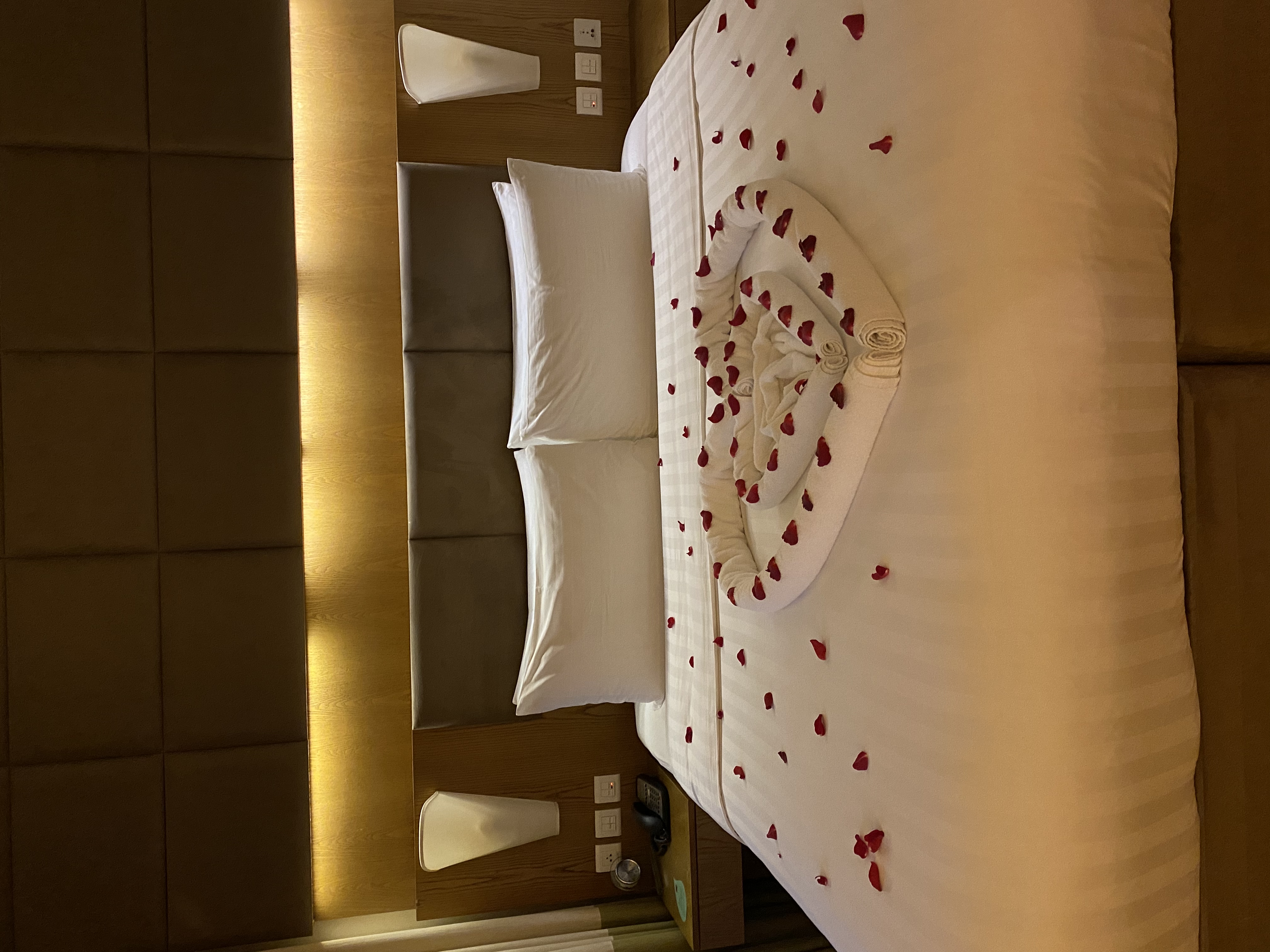 Фото Traders Hotel, Qaryat Al Beri, Abu Dhabi