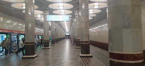 Yaqin planda hol mushuk porno video