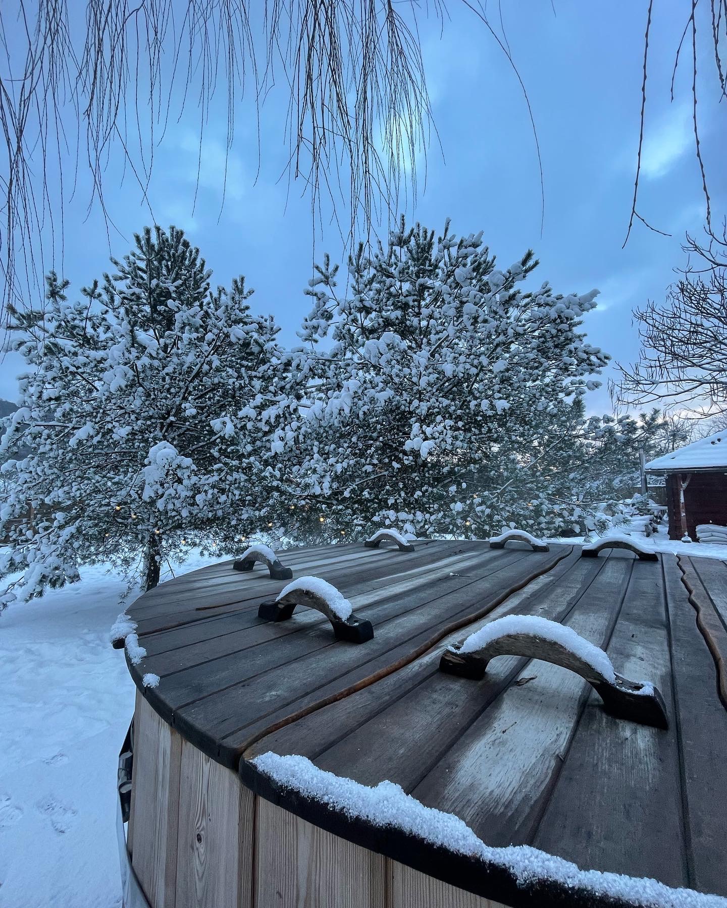 Фото Эколодж