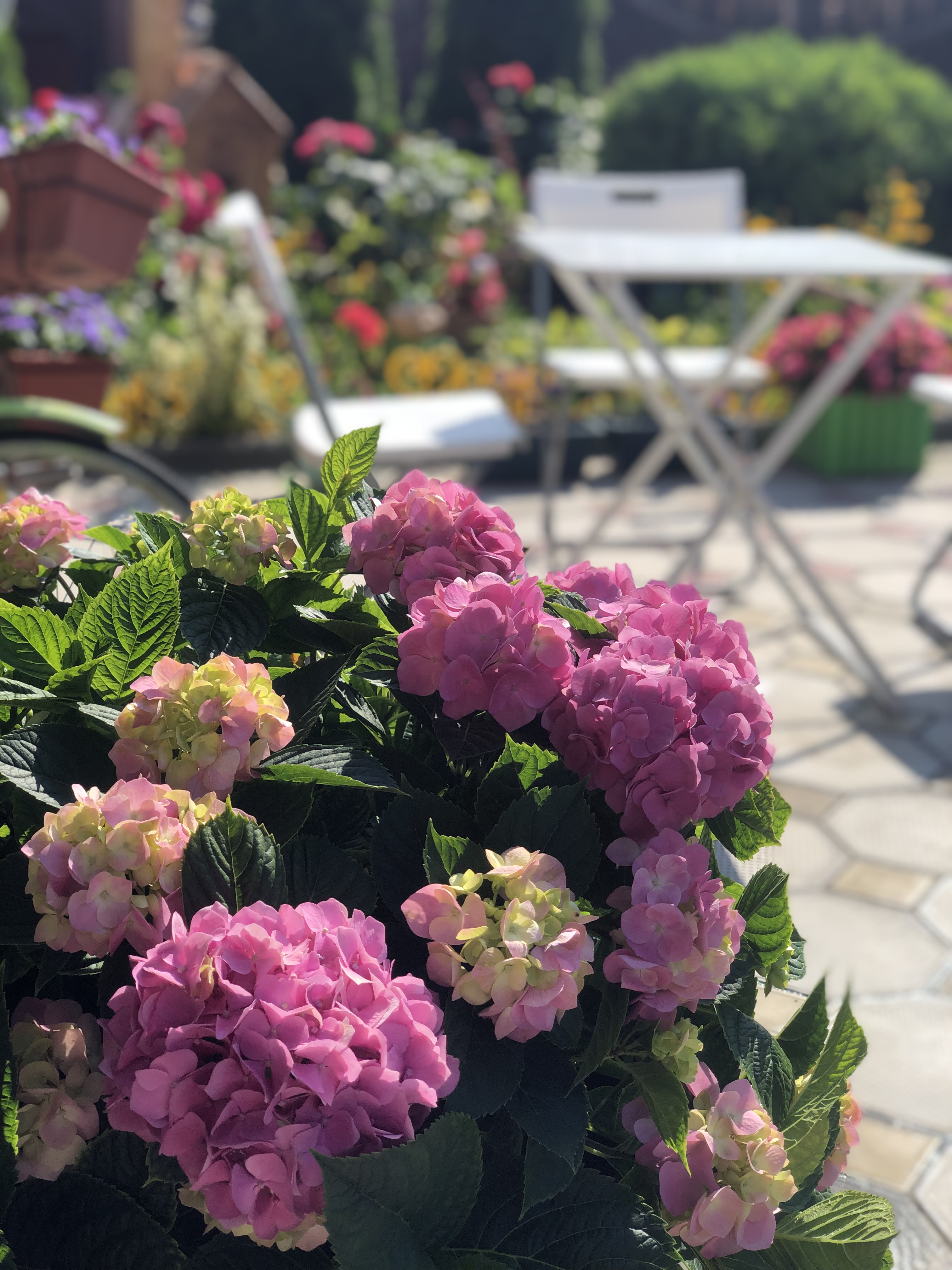 Фото Гранат