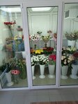 Ласточка (ulitsa Druzhby Narodov, 16), artificial plants and flowers