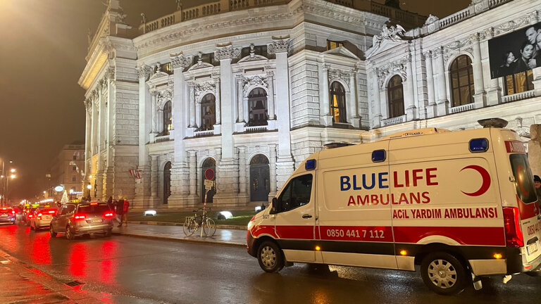 خدمة الإسعاف Bluelife Private Ambulance ، إزمير، صورة