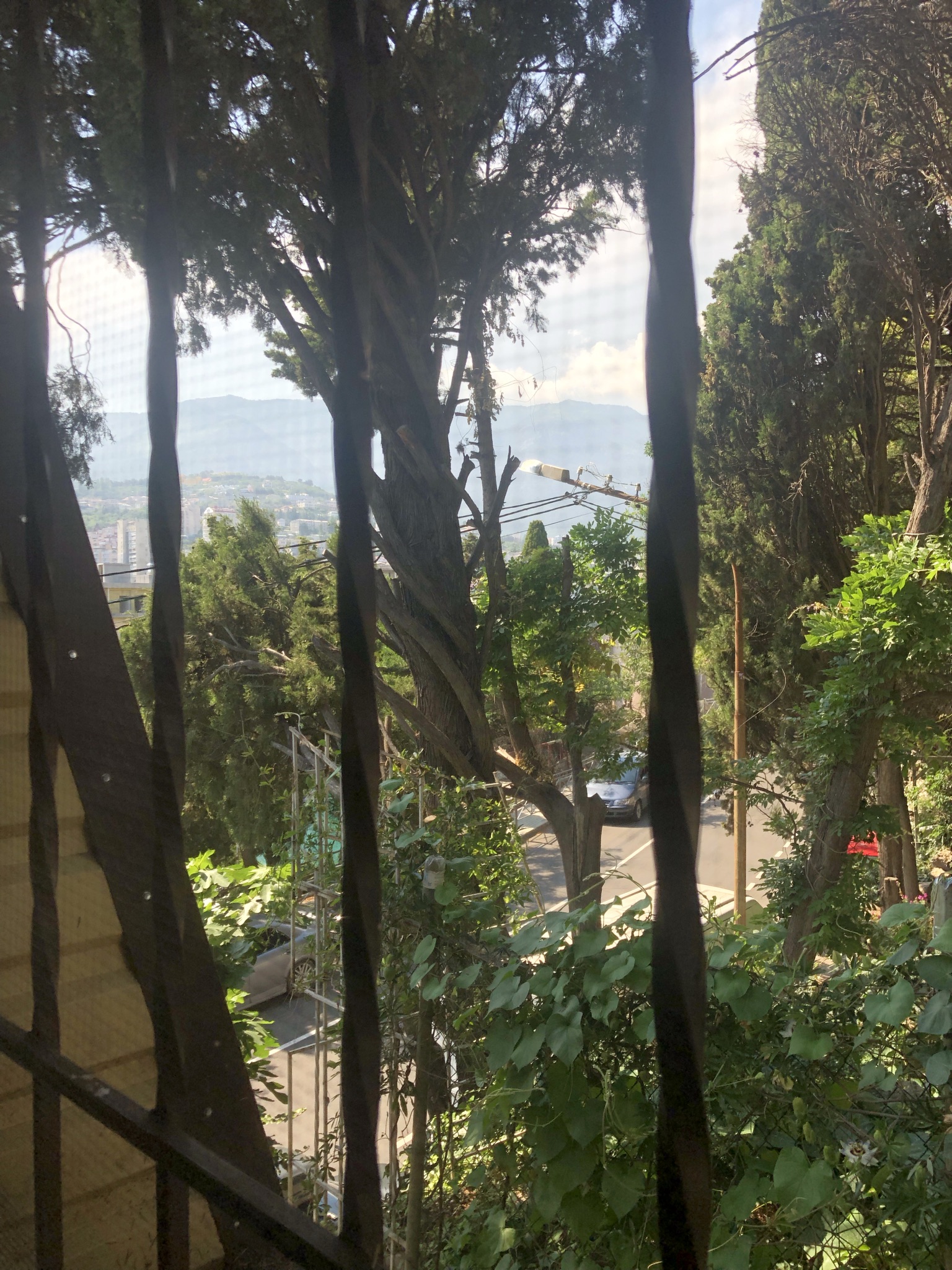 Фото Ялта 4 сезона