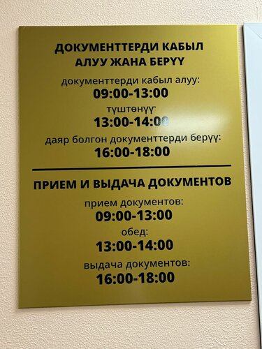 Как работает схемы гос коррупционеров новосибирска