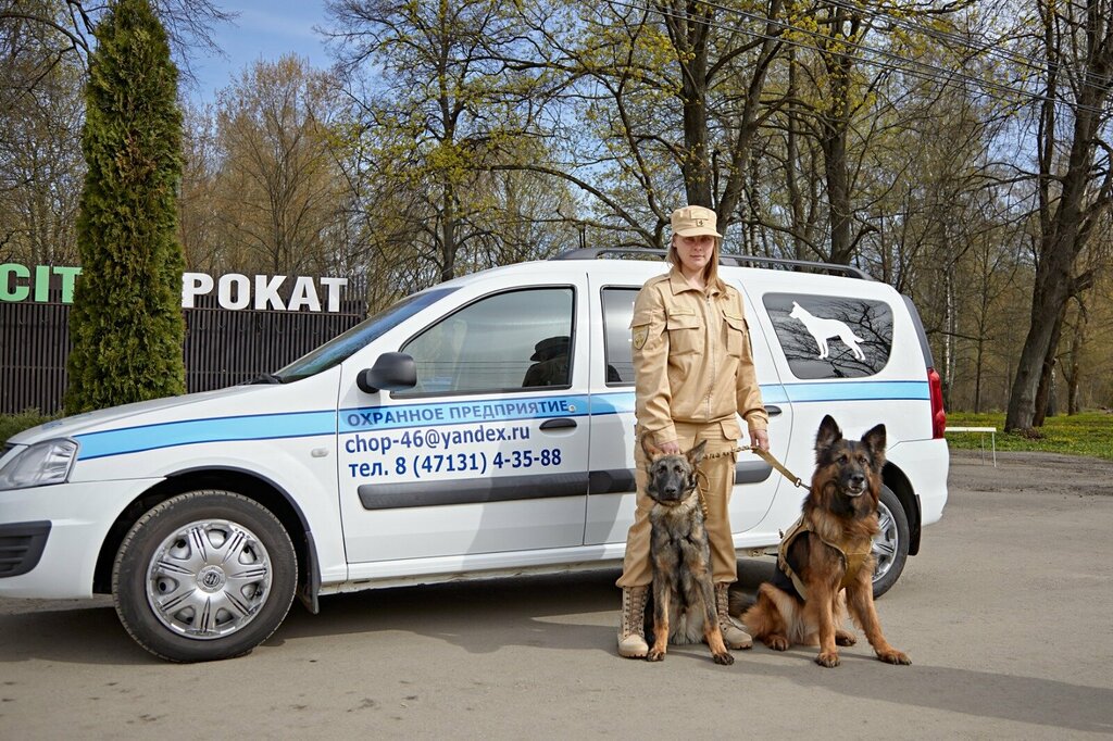 Security company Sodeystvie, Kursk Oblast, photo