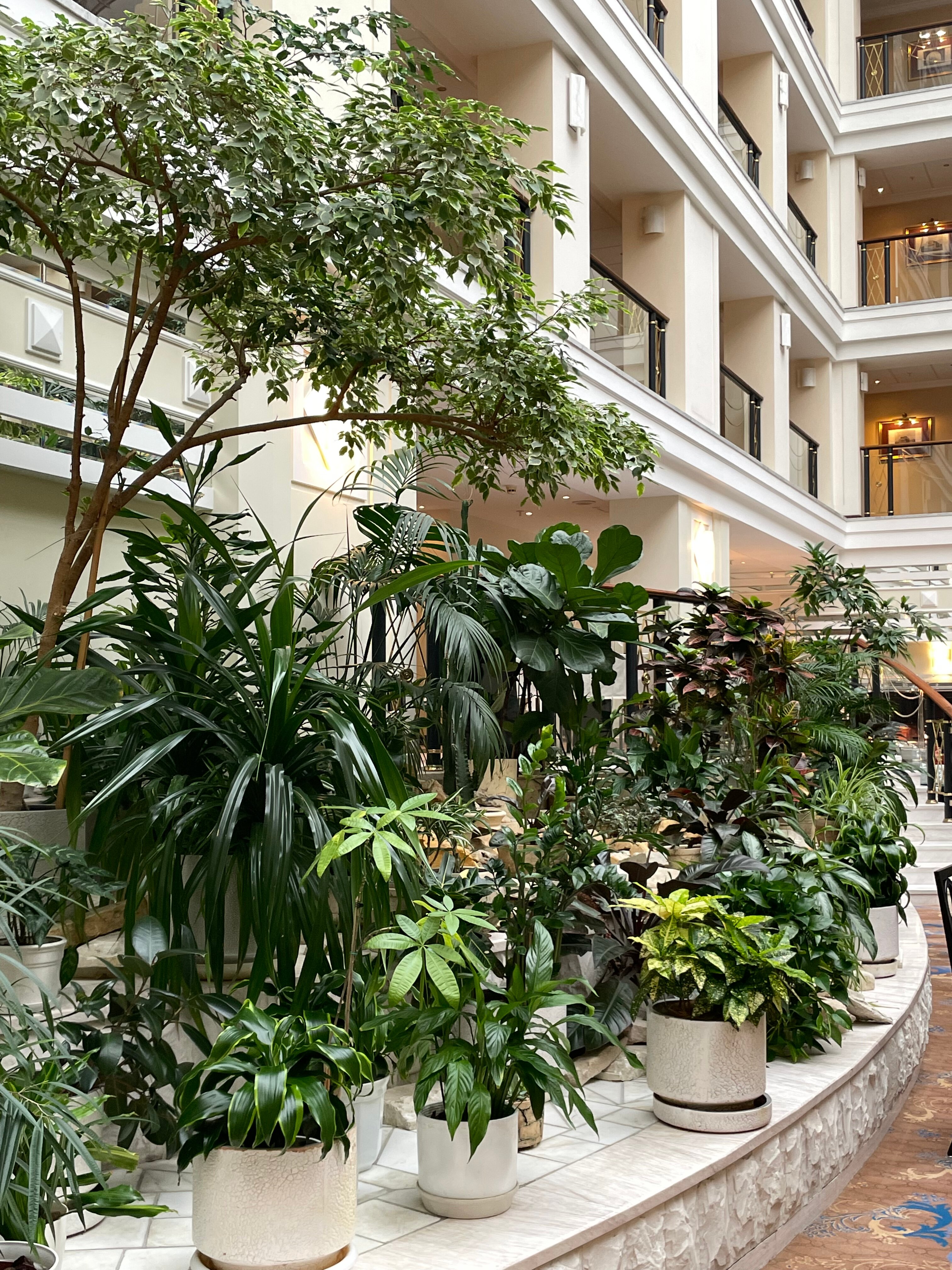 Фото Сафмар Аврора Люкс