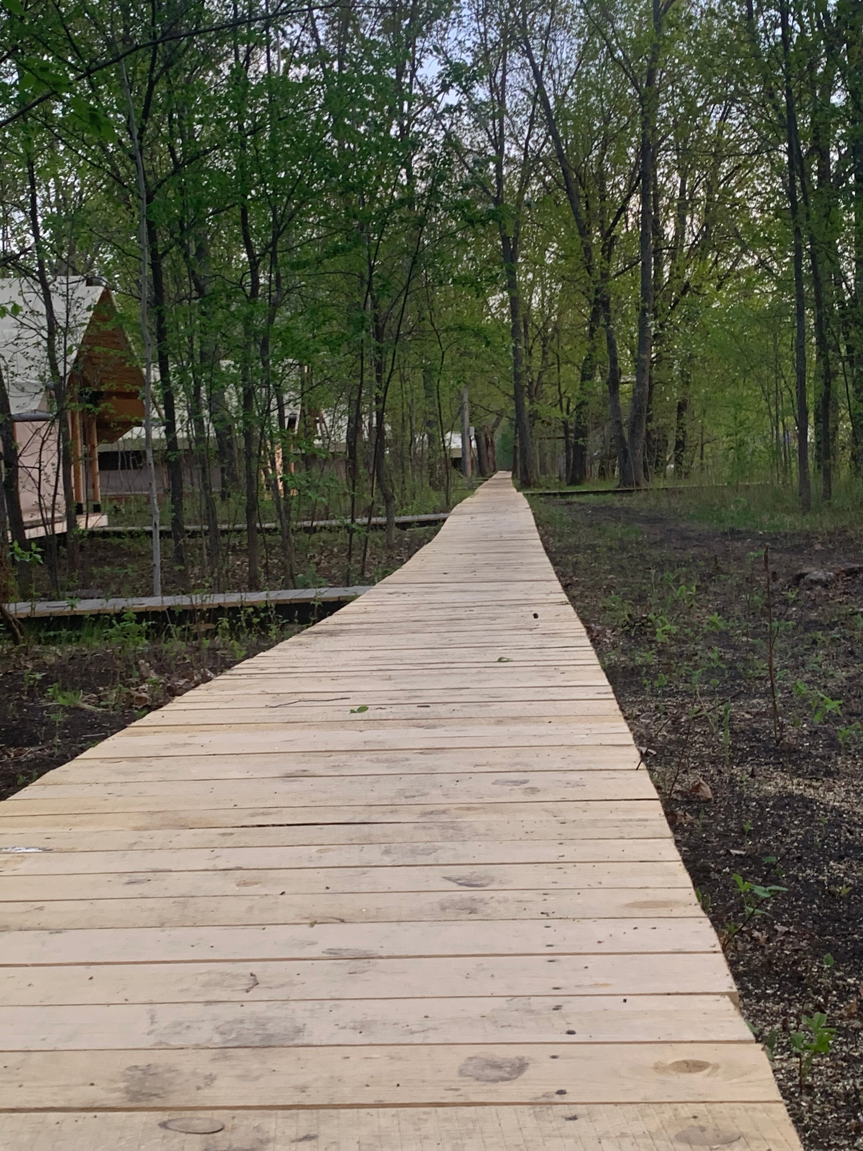 Фото ZeБирск