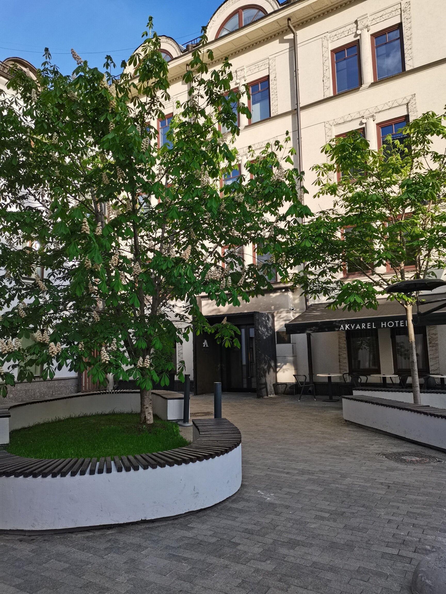 Фото Акварель