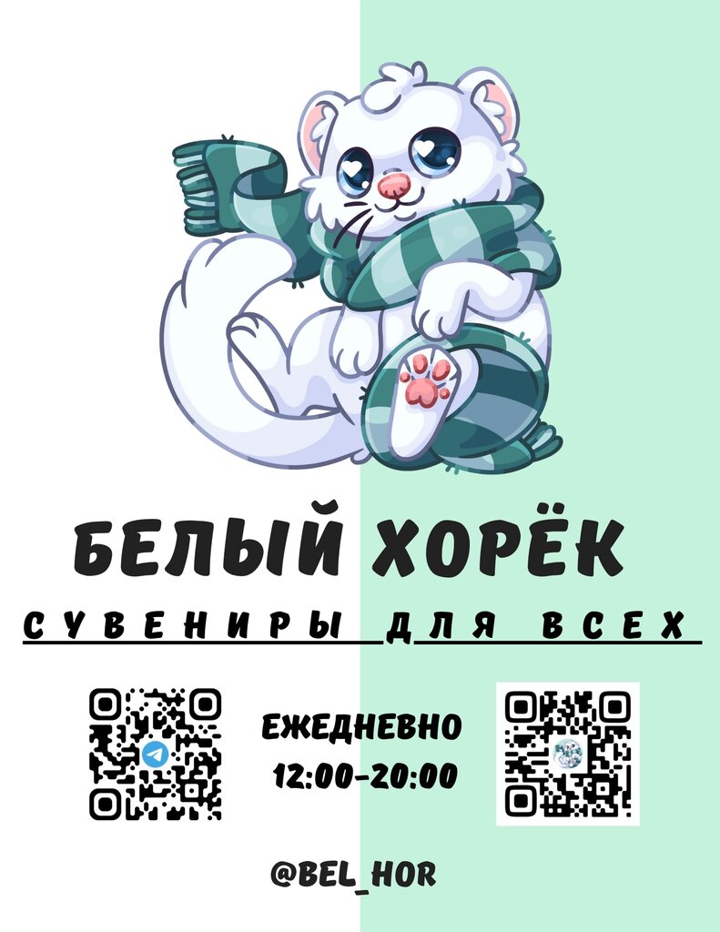 Gift and souvenir shop White Ferret, Voronezh, photo