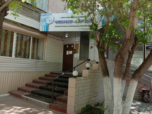 Әйелдің ер адамның аузына тығылған видеосы