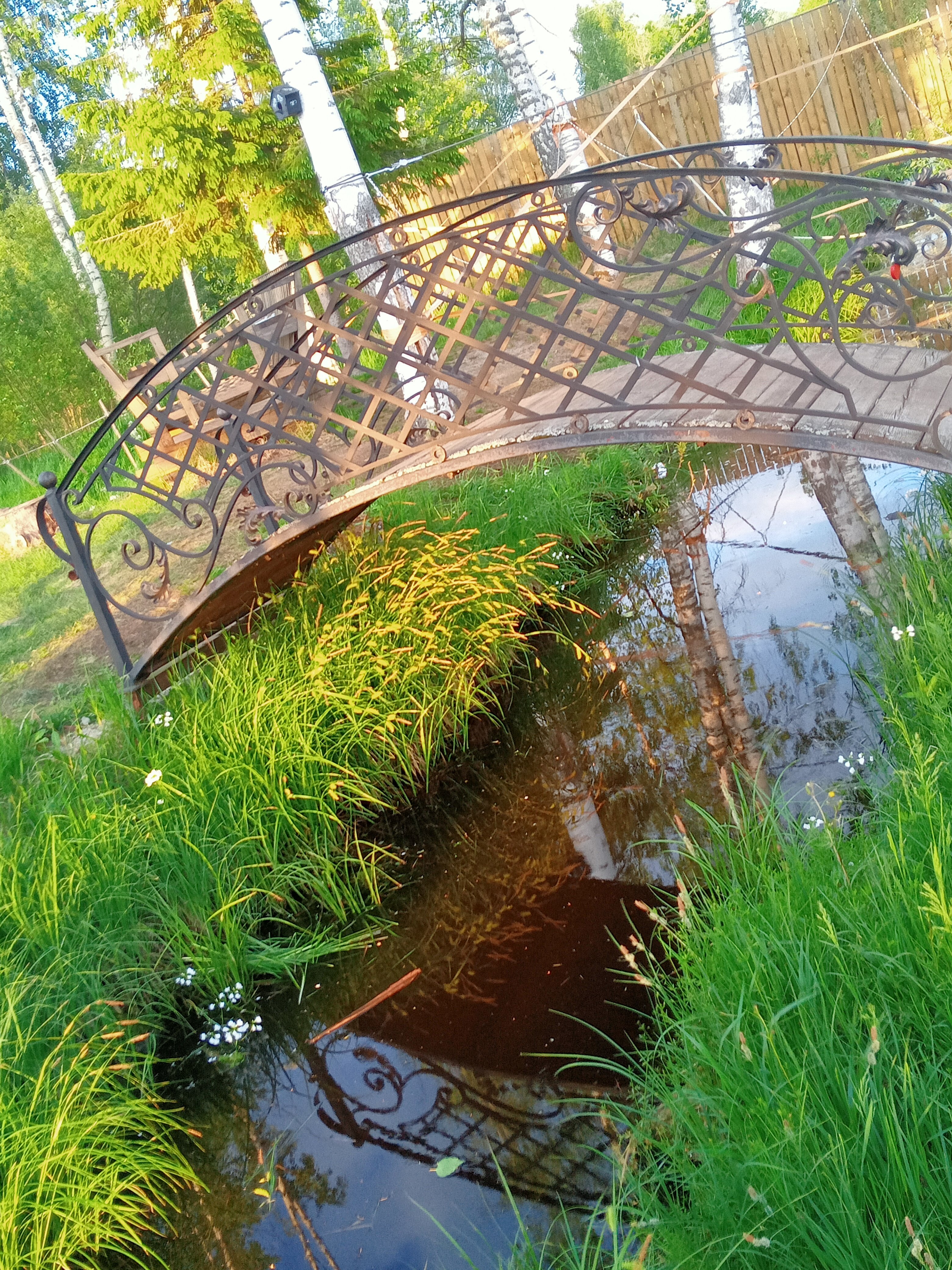 Фото Андога