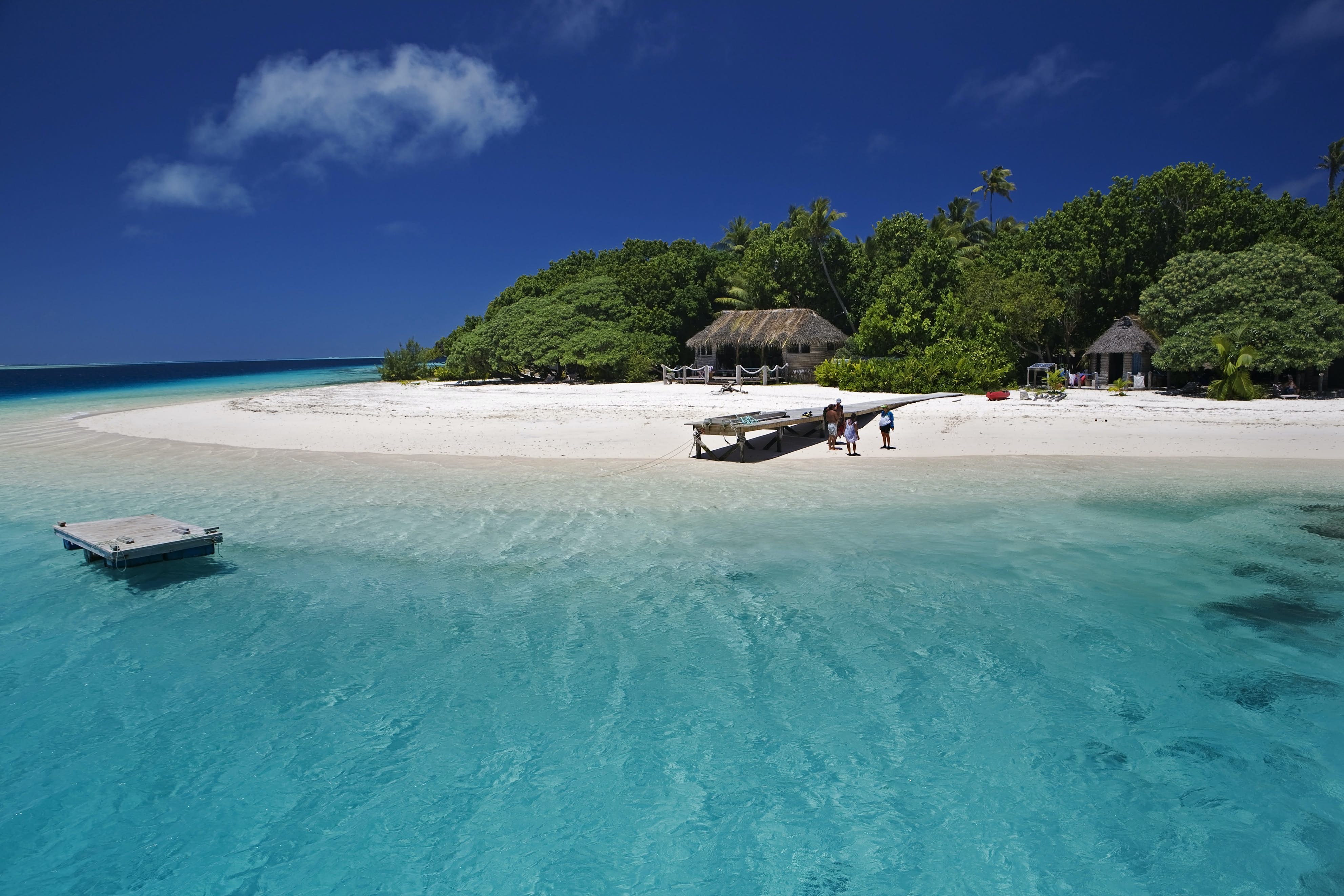 Tonga работы