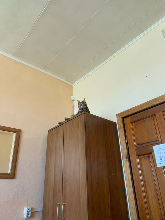 Фото Smart Hotel КДО Канск-Енисейский