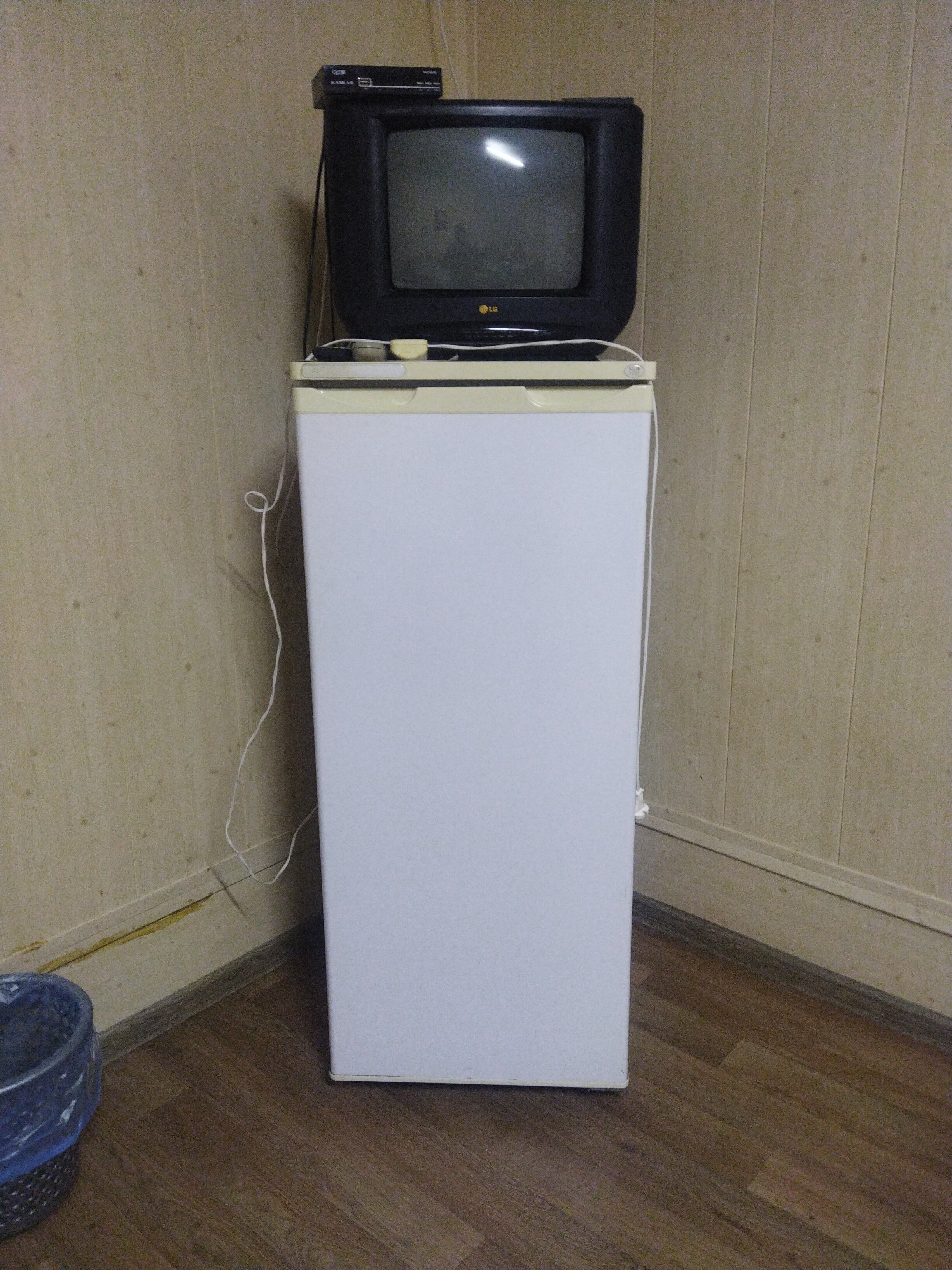 Фото Ариэль Д