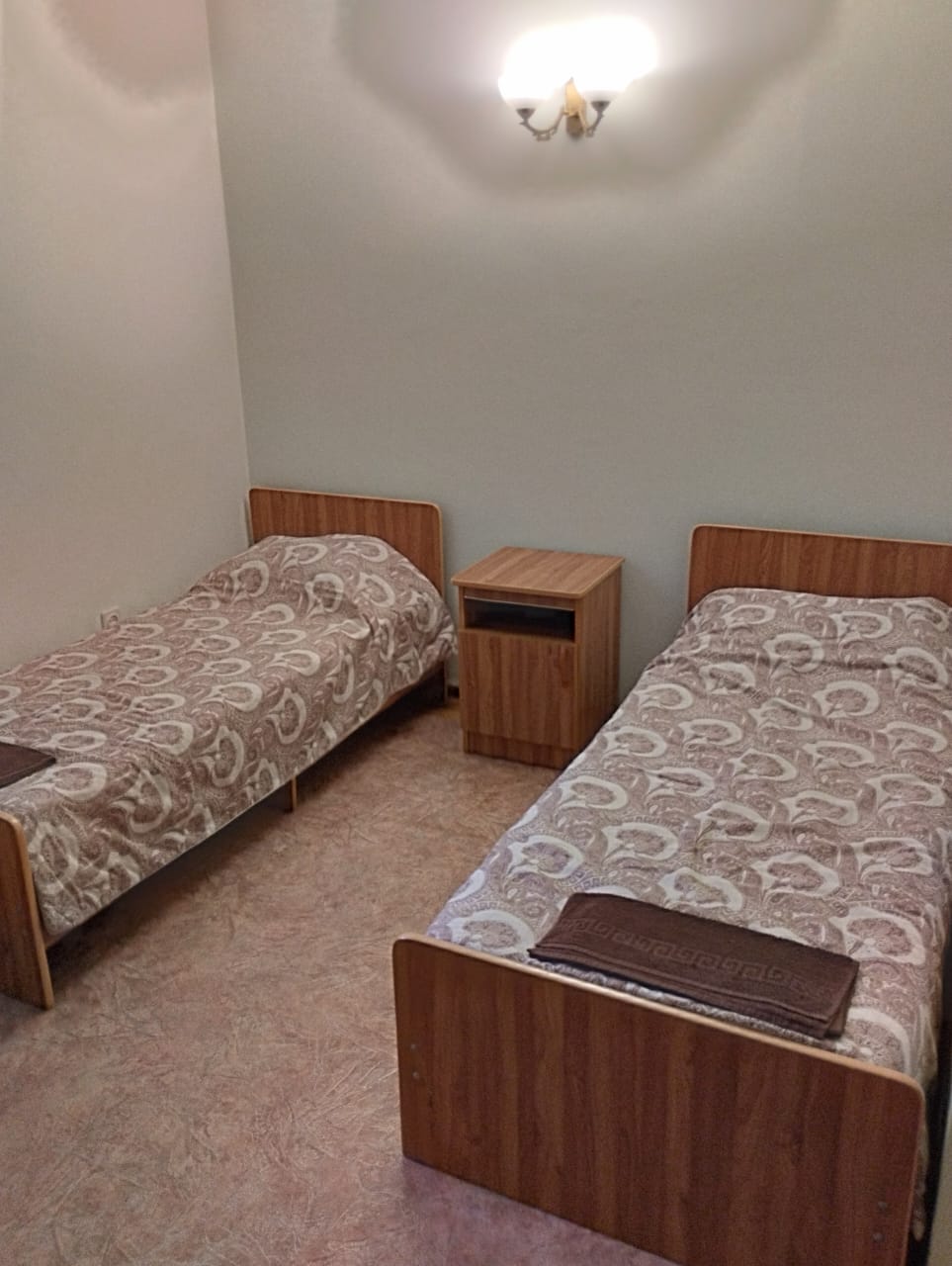 Фото Ромашка