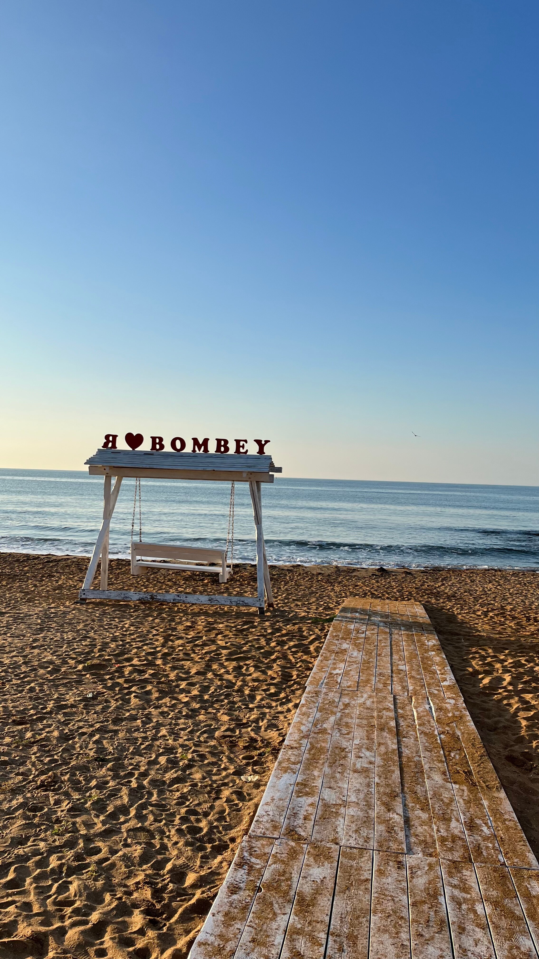 Фото Дионида