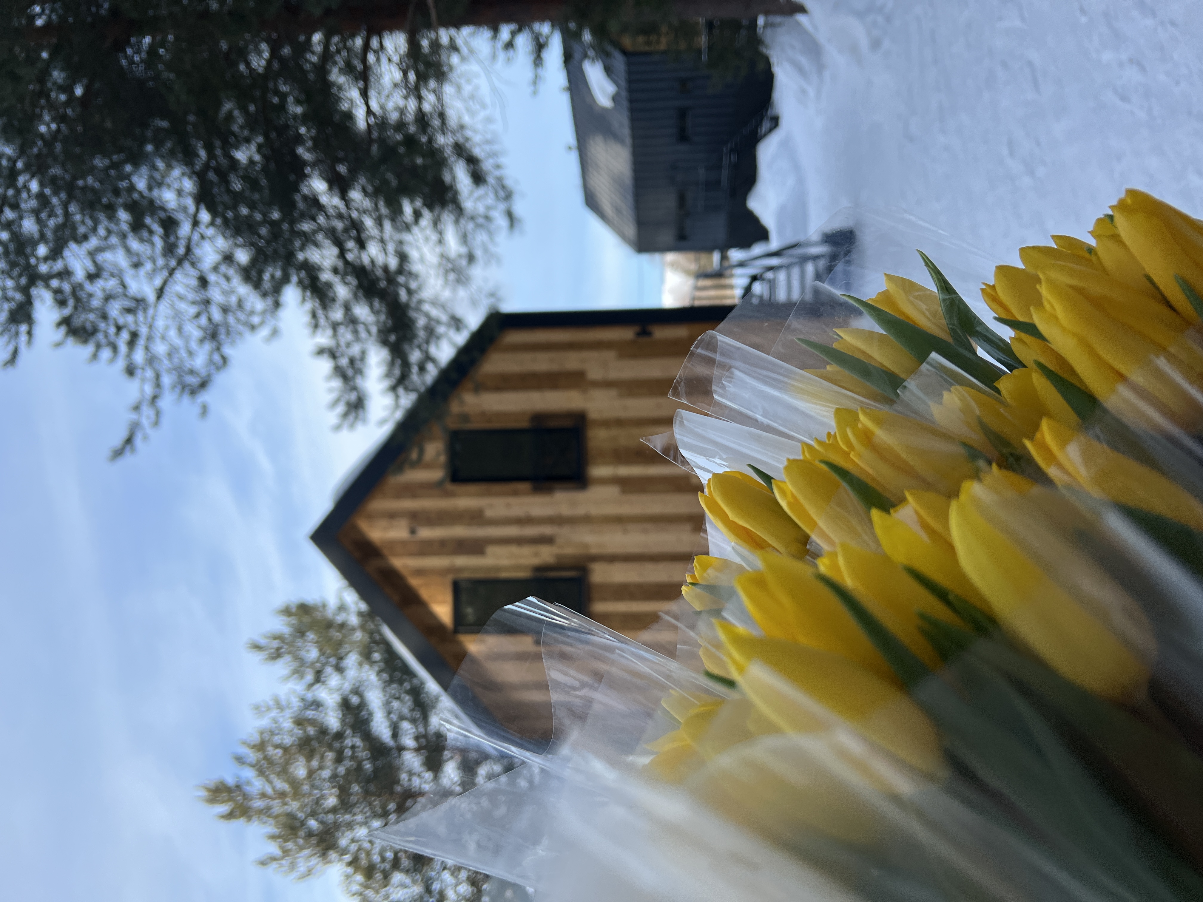 Фото Aldi Karelia