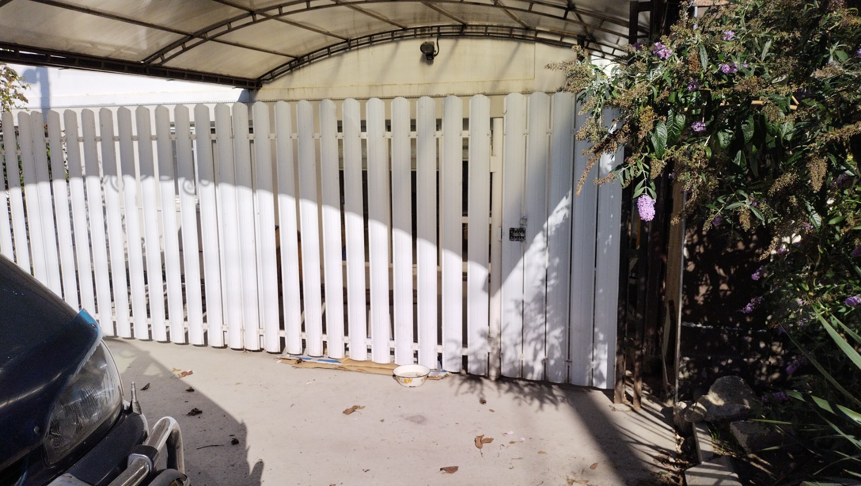 Фото Абрикосовая