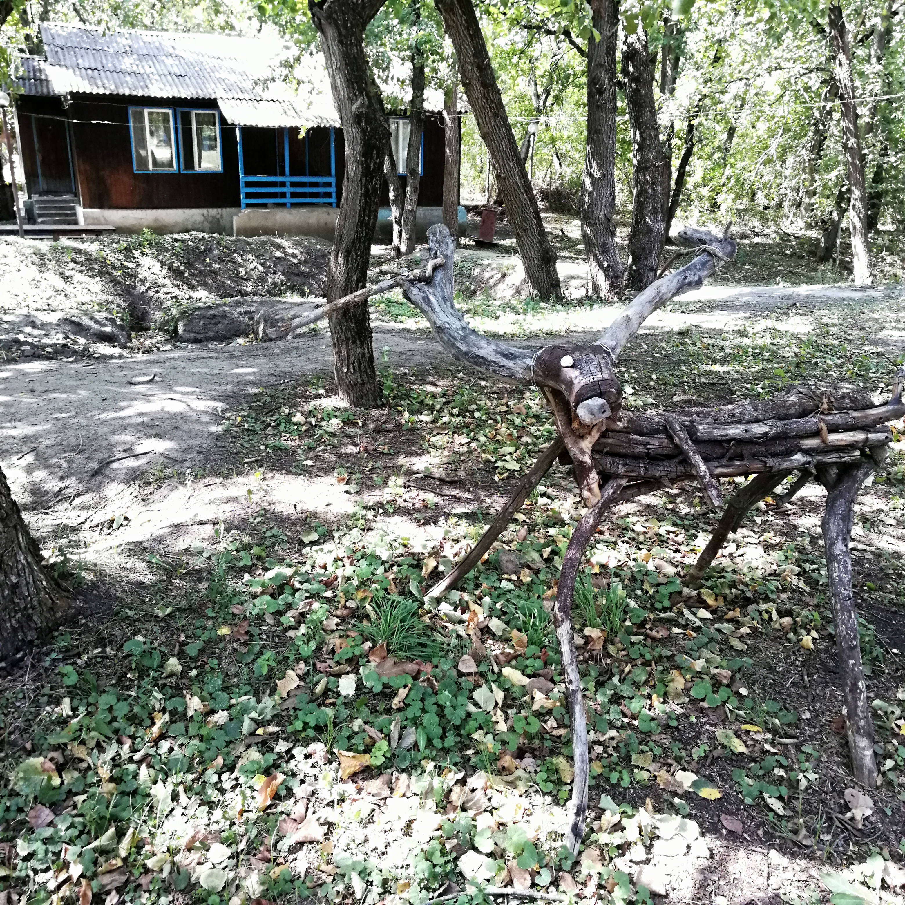 Фото Автомобилист