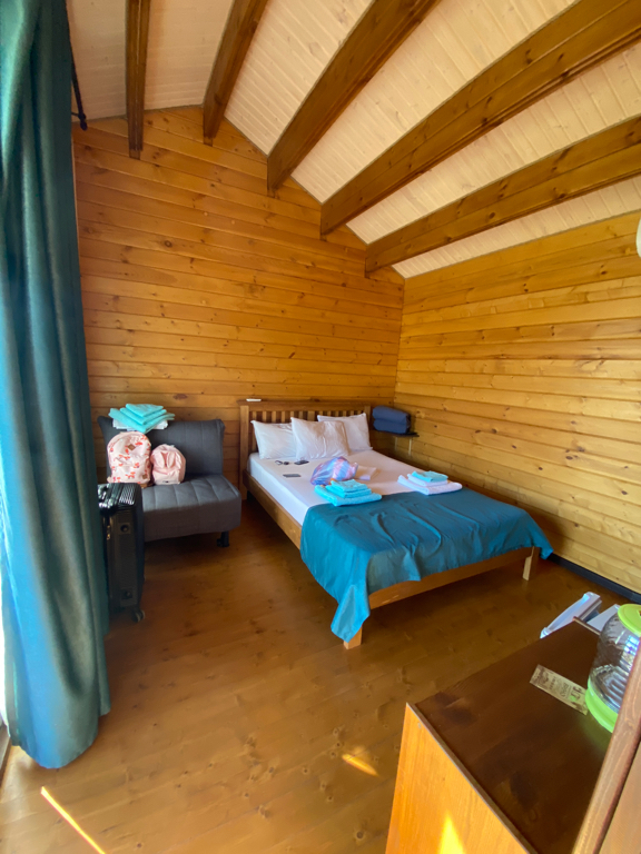 Фото Кактус