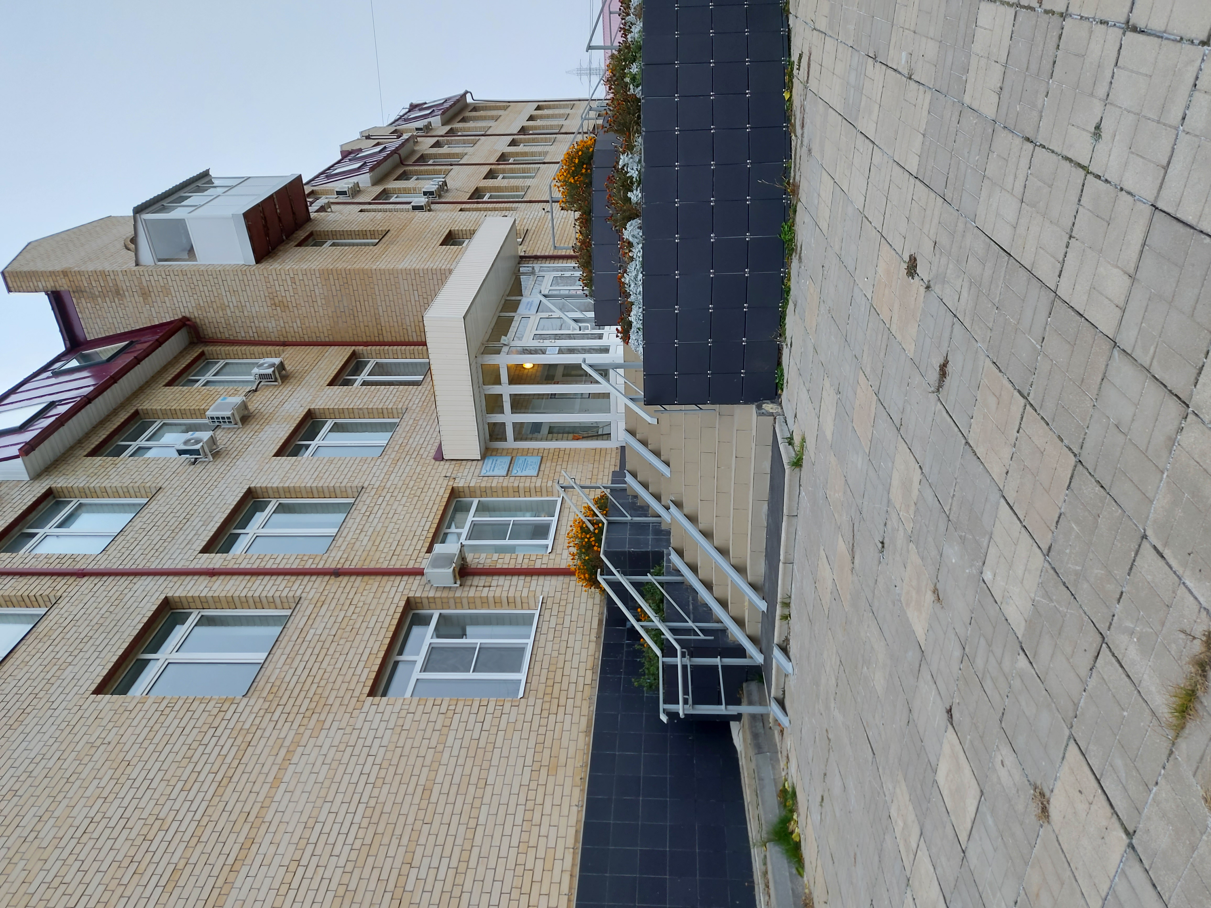 Фото Мелиоратор