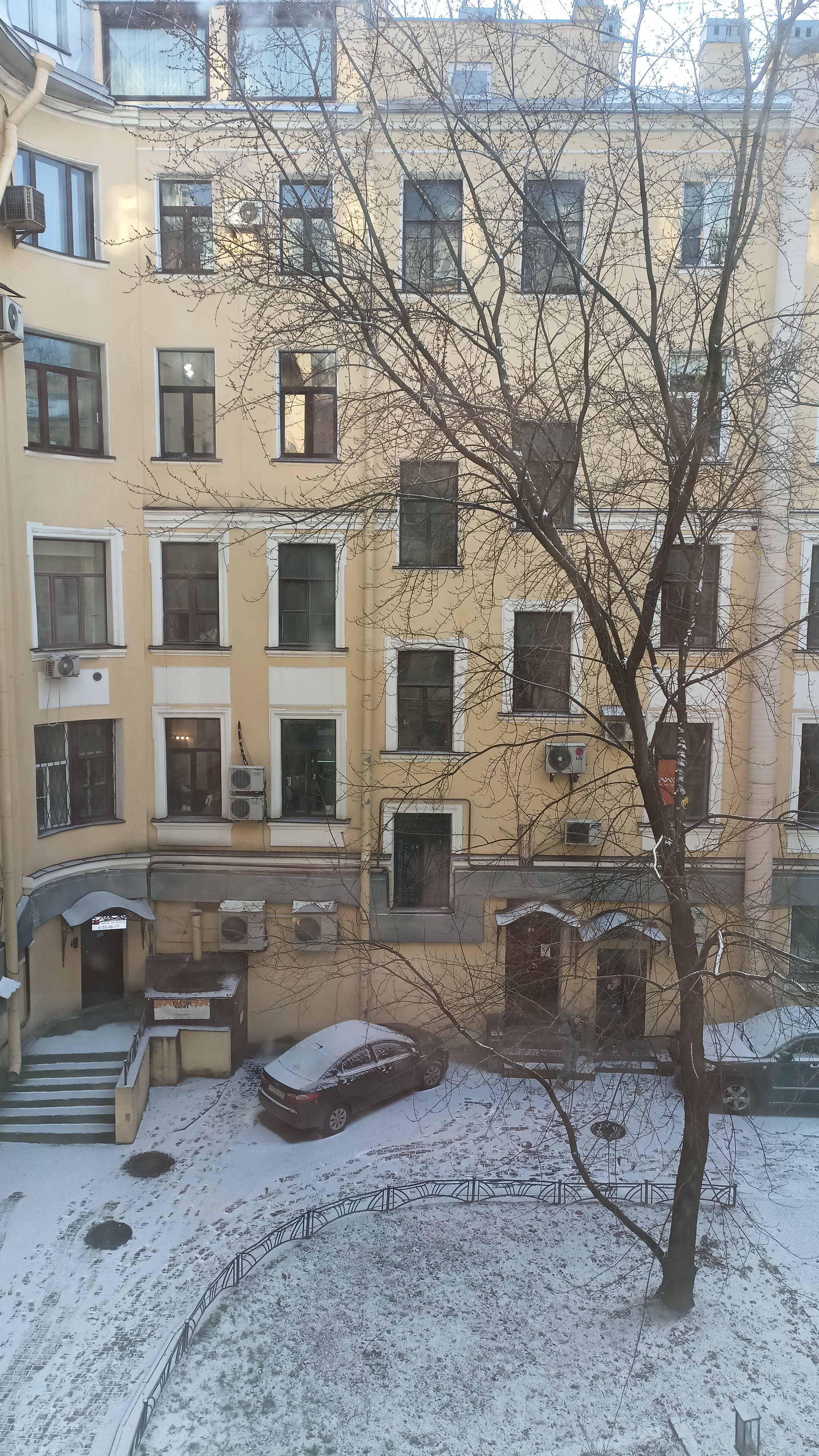 Фото Акме Поликофф