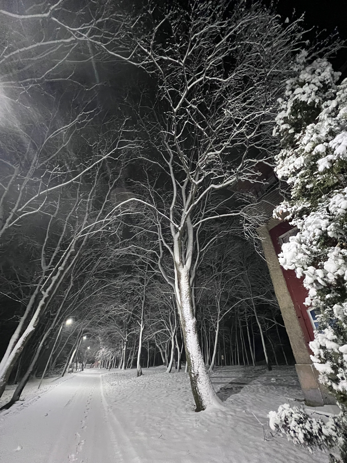 Фото Усадьба Ведрова