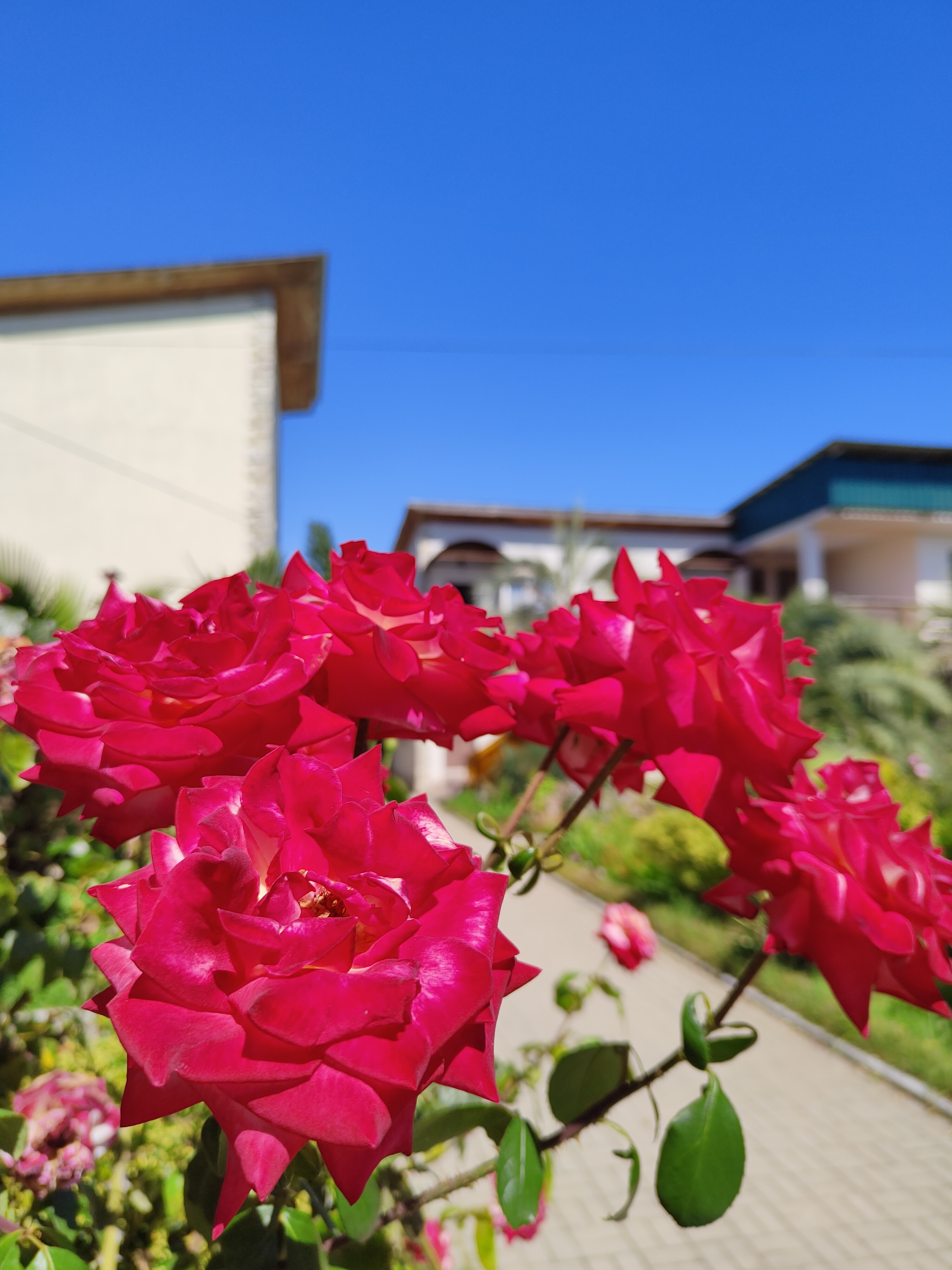 Фото Дени Дельмар