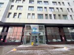Stellar (Kholodniy Lane, 10А), construction company