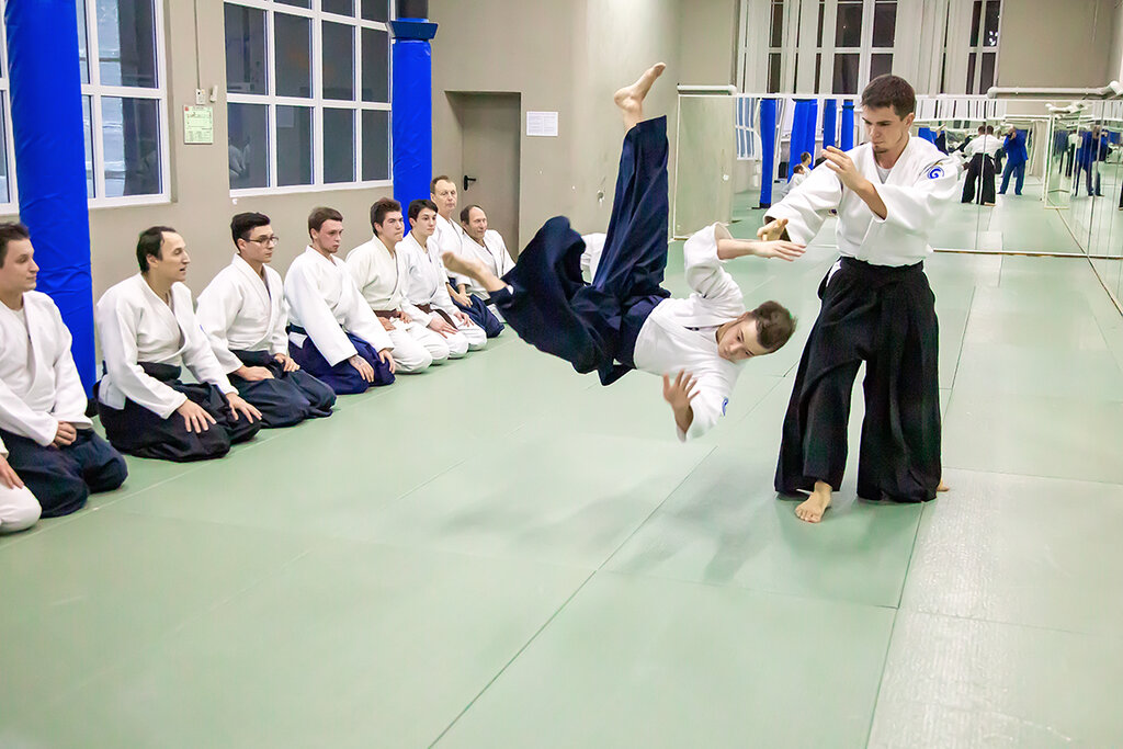 Sports club Bayder dojo Aikido & Kobudo, Moscow, photo