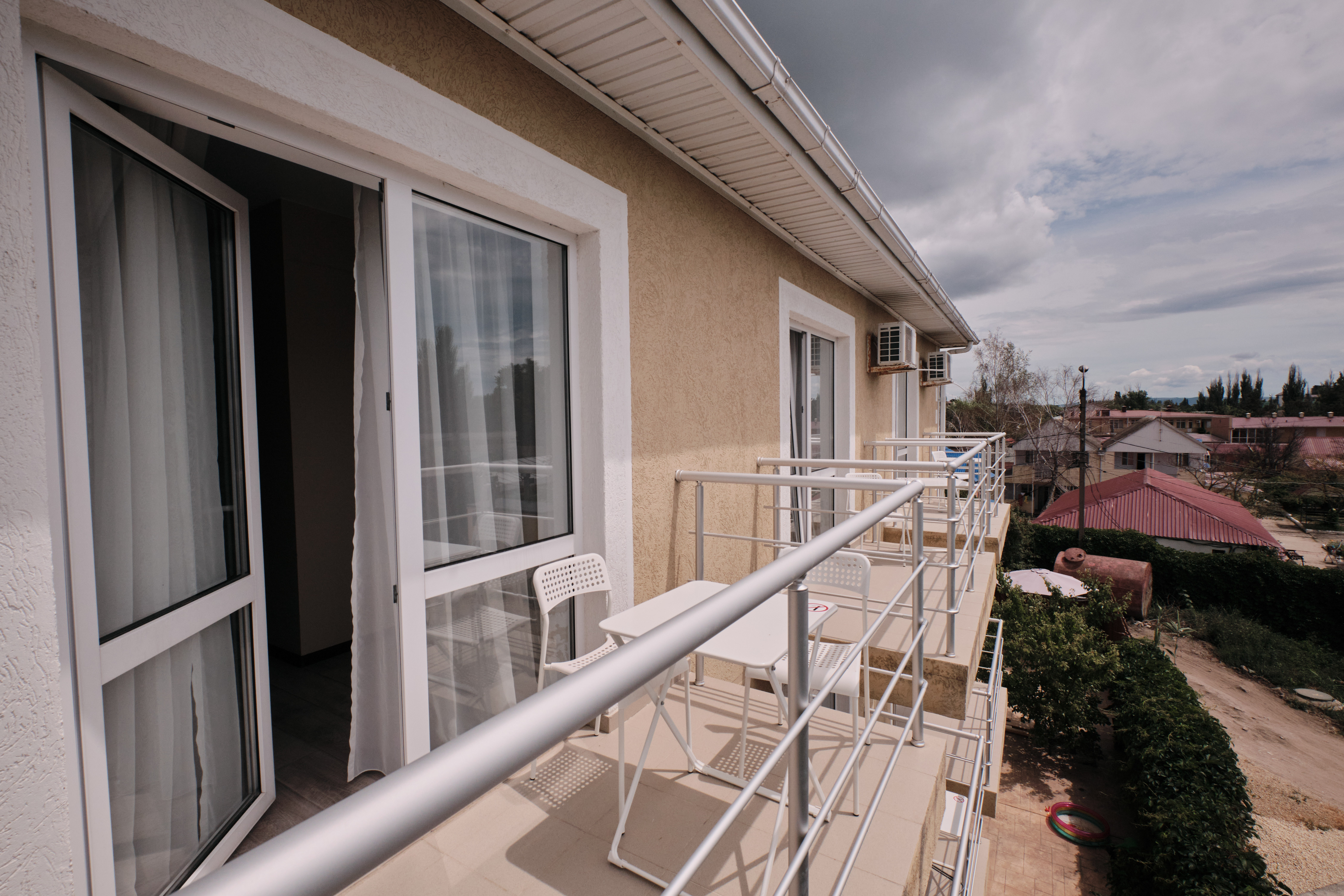 Фото Солнечная орхидея